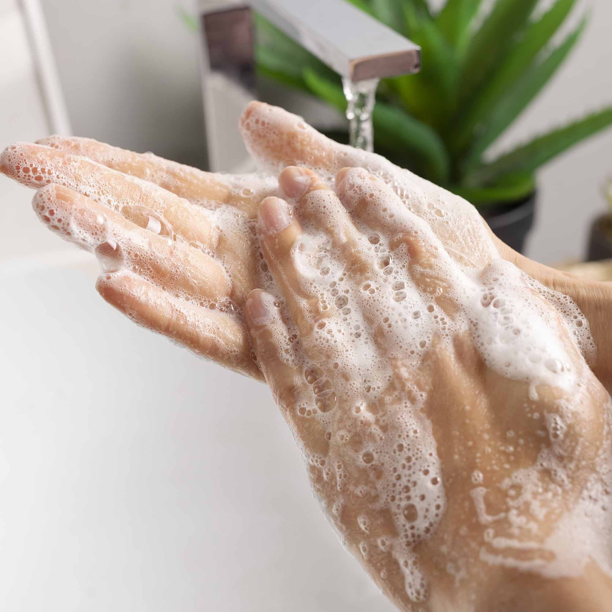 Foaming Hand Soap Coconut & Wild Berries-Eco-Refill 30 FL. OZ. - View 2