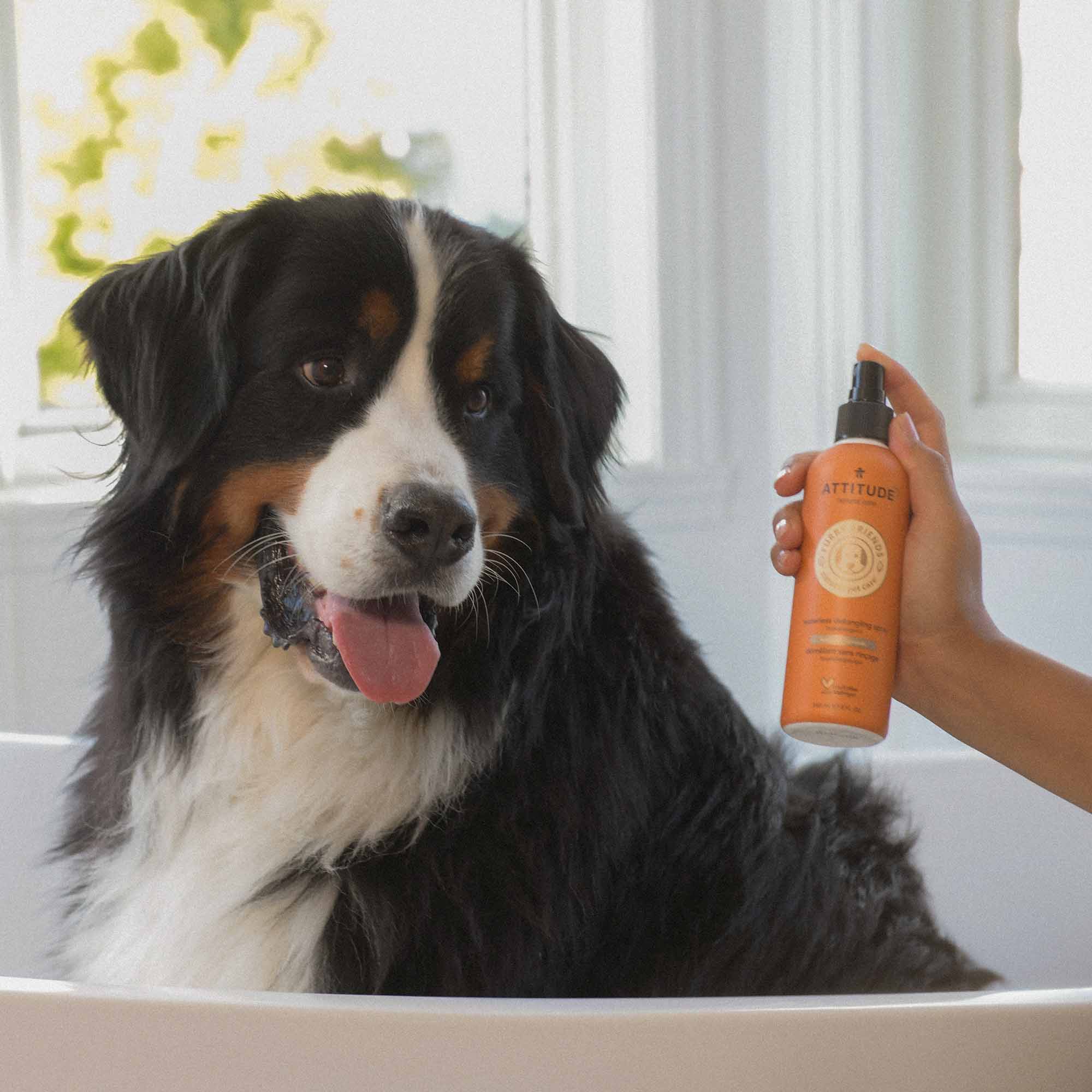 Pet Detangler - Anti-itching Lavender-8 FL. OZ. - View 2
