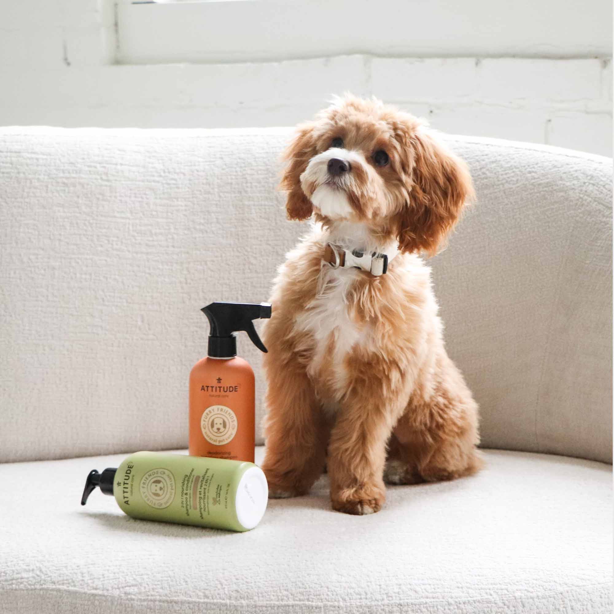 Pet Shampoo - Anti-itching & Deodorizing Lavender-16 FL. OZ. - View 3