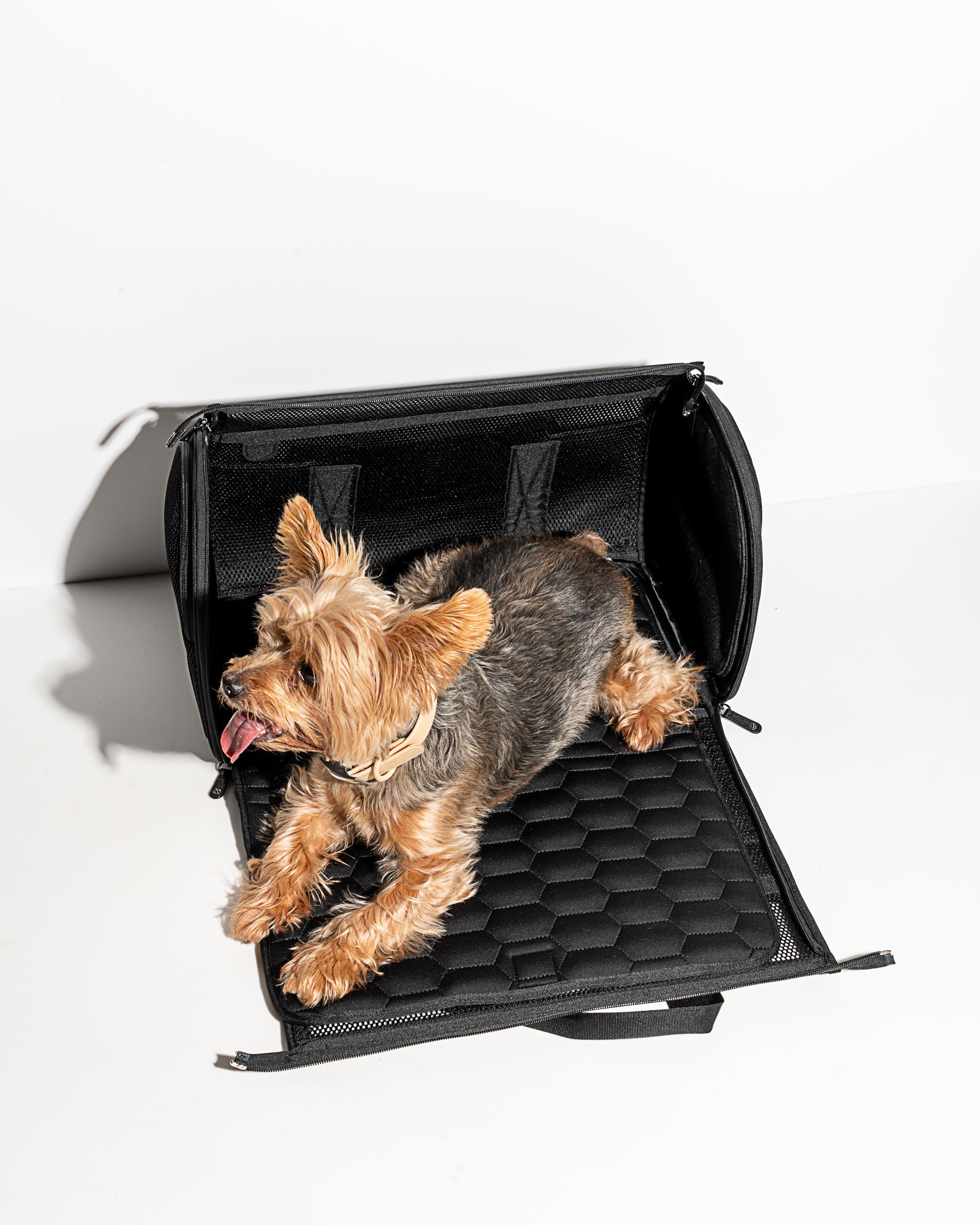 Travel Carrier - View 2