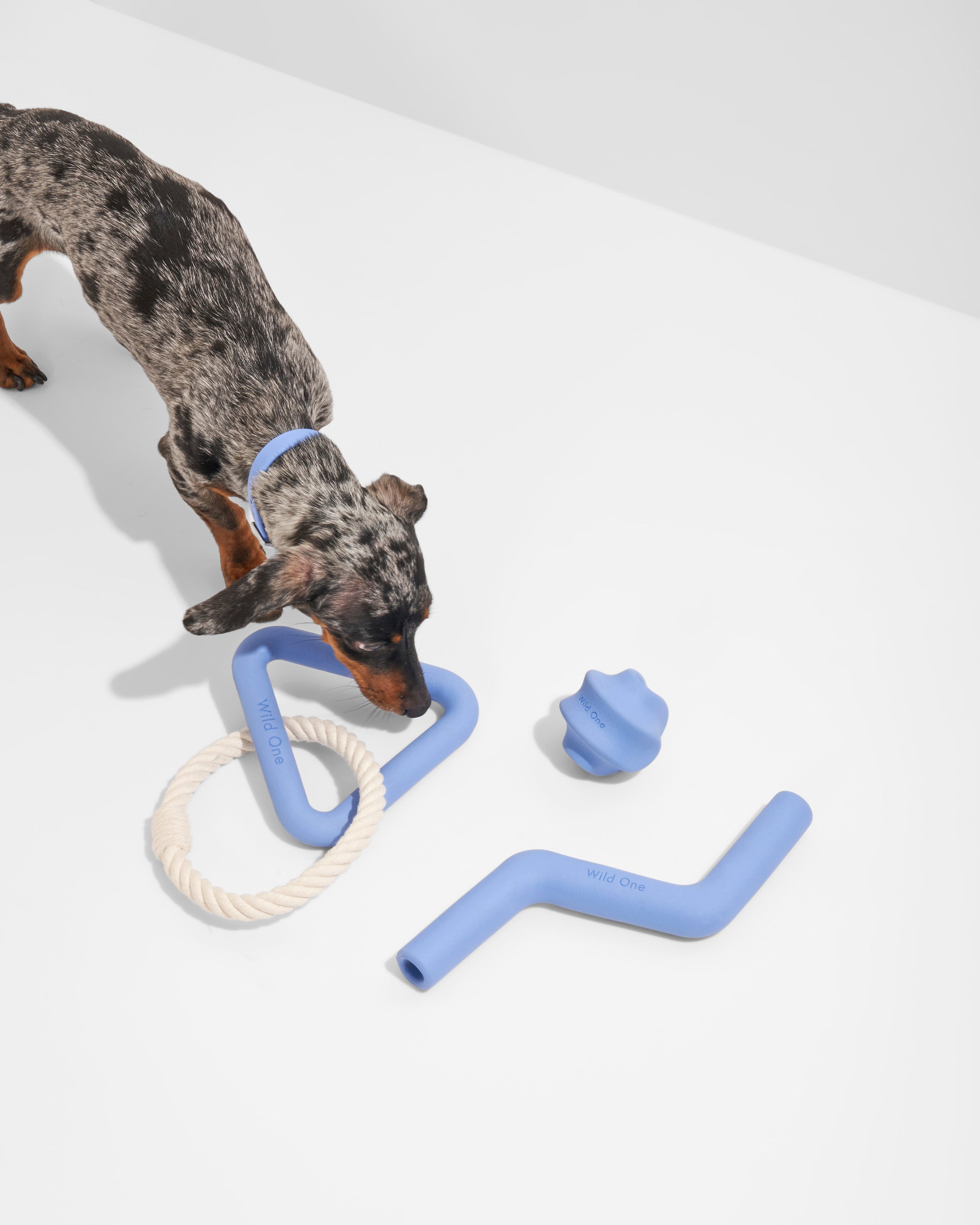 Dog Toy Kit - View 3