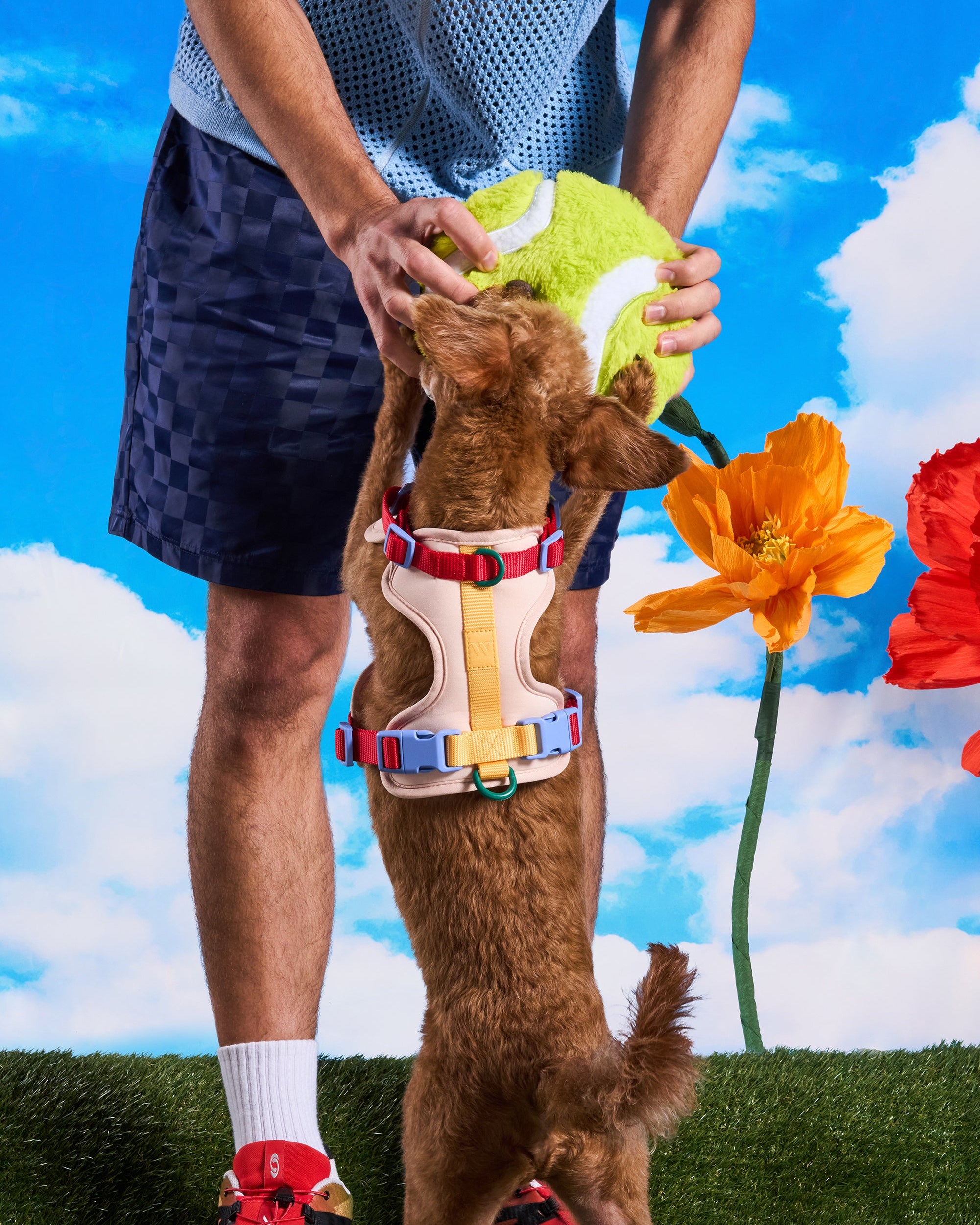Playful Plush Dog Toy Kit - View 3