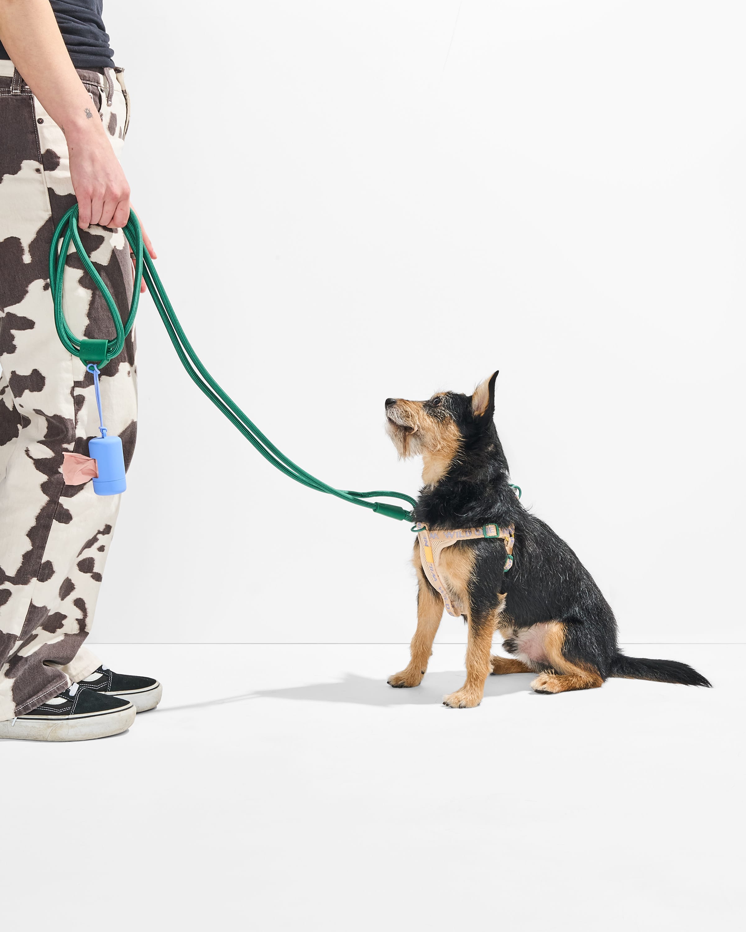 Step-In Harness + Hands-Free Rope Leash Walk Kit - View 6