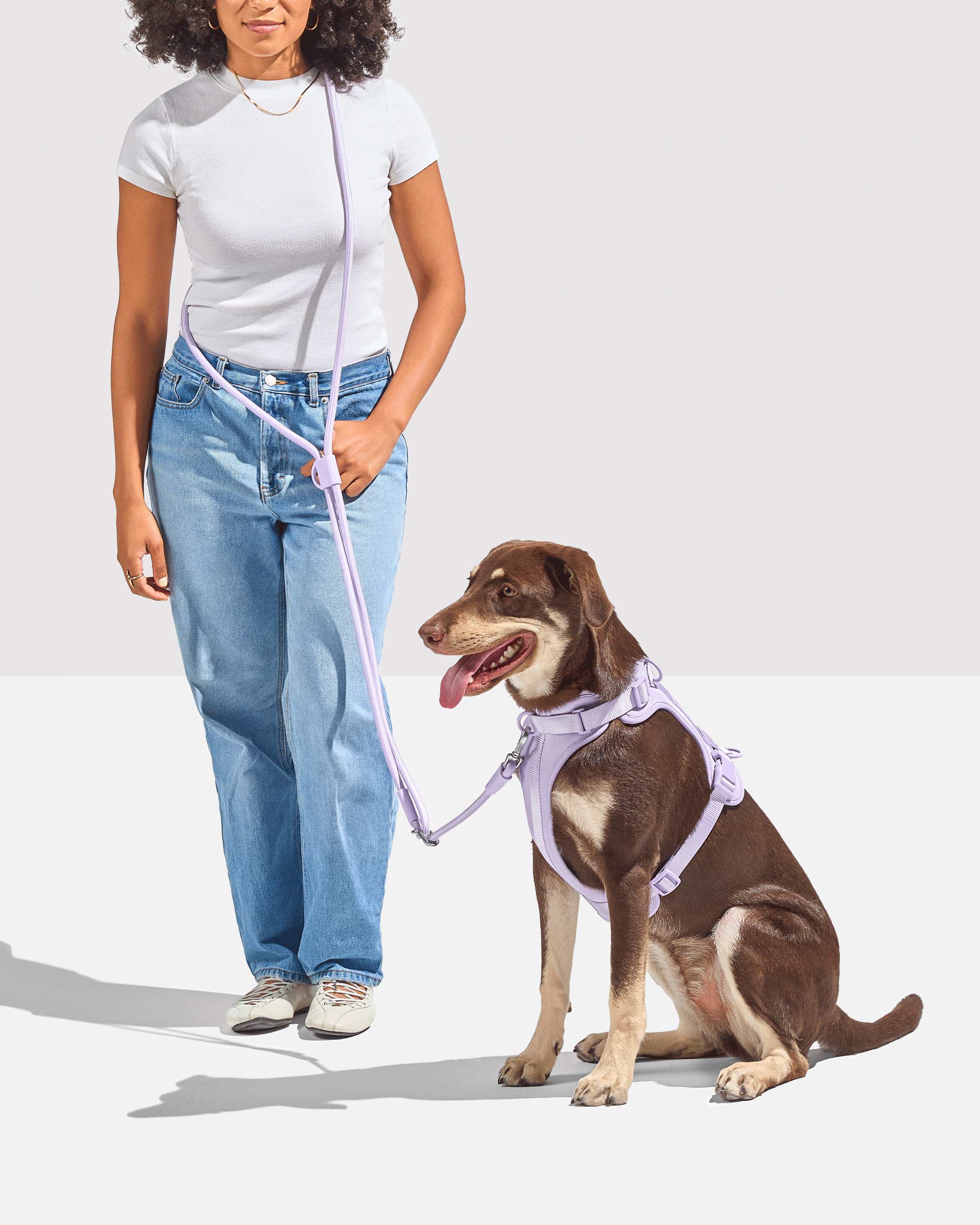 Cushioned Harness + Hands-Free Rope Leash Walk Kit - View 4