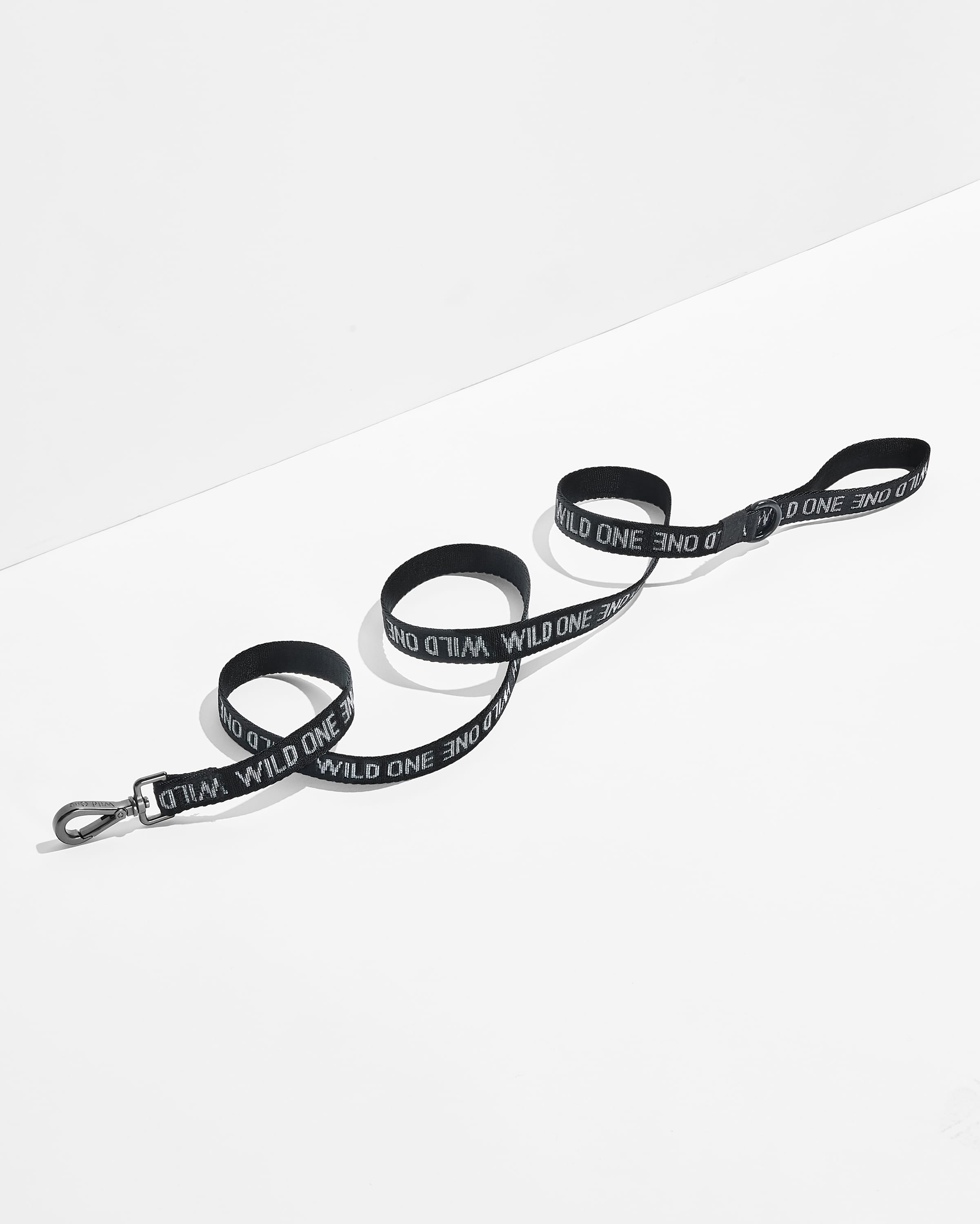Cushioned Harness + Lightweight Leash Walk Kit - View 5