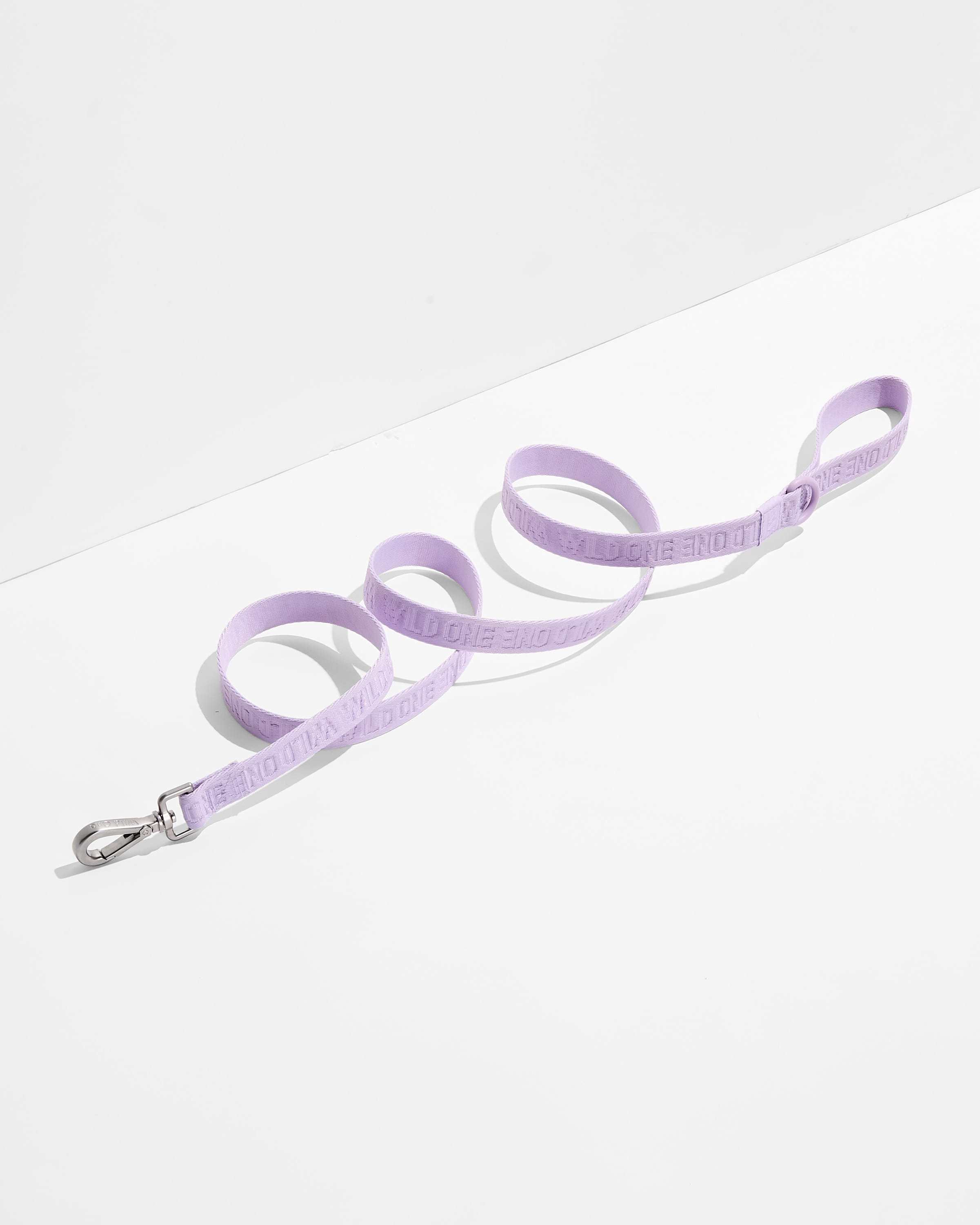 Quick-Release Collar + Lightweight Leash Walk Kit - View 3