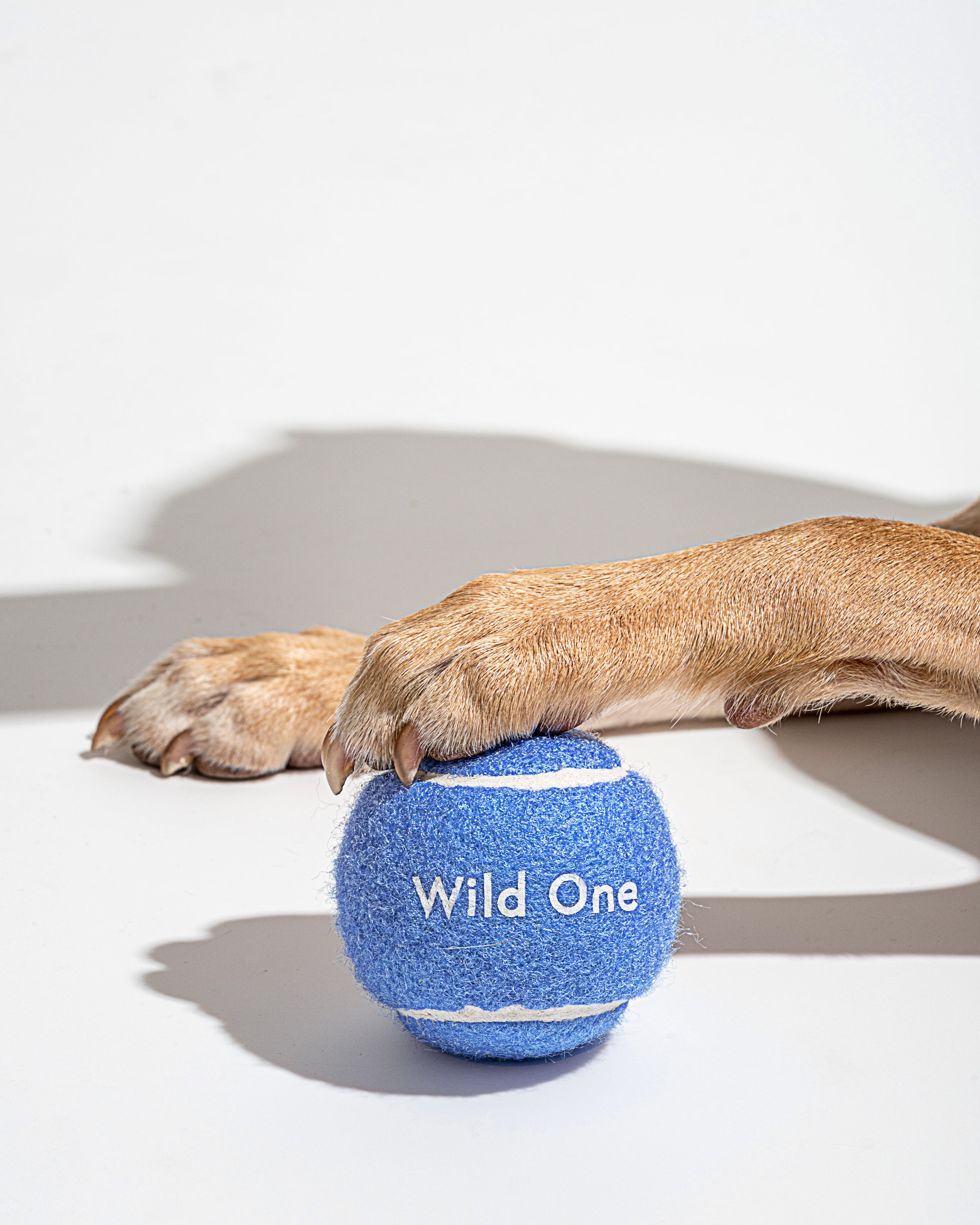 Tennis Balls 4-Pack - View 5