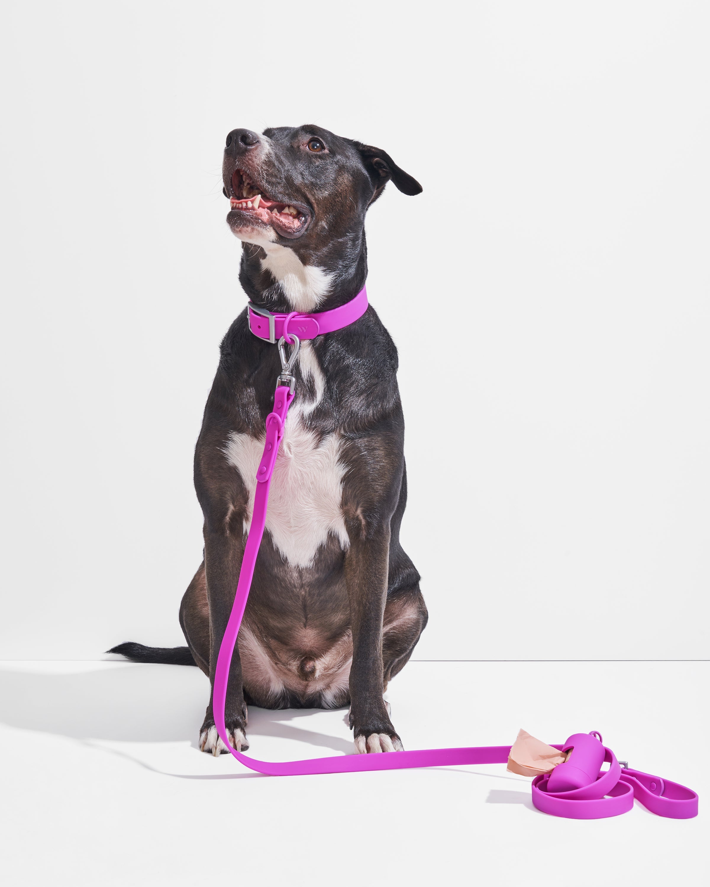 Waterproof Collar + Waterproof Leash Walk Kit - View 3