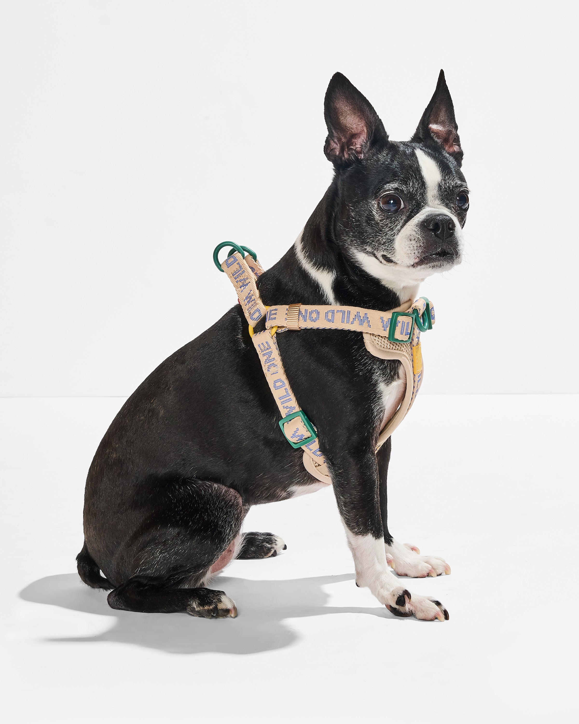 Step-In Dog Harness - View 2