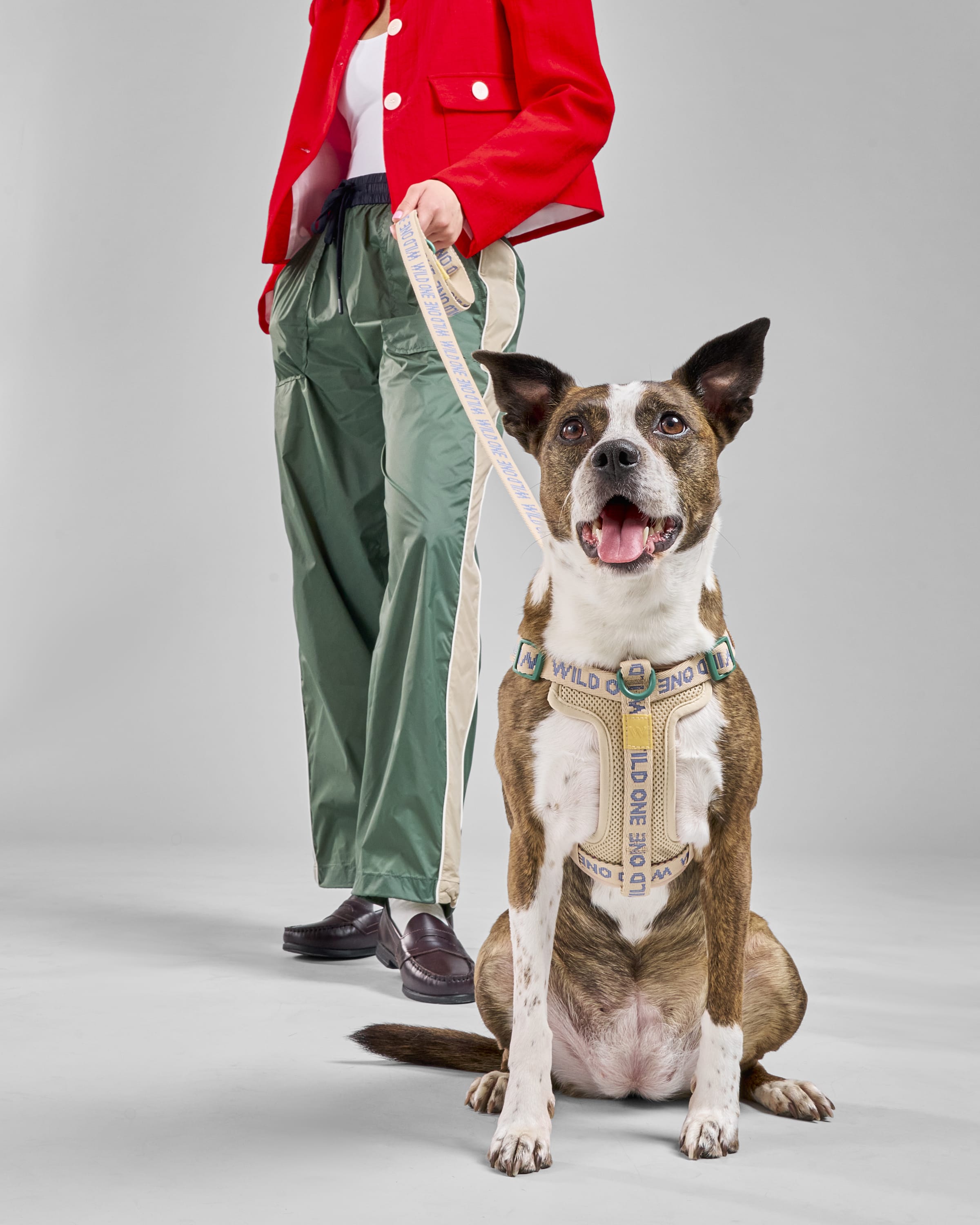 Lightweight Dog Leash - View 3
