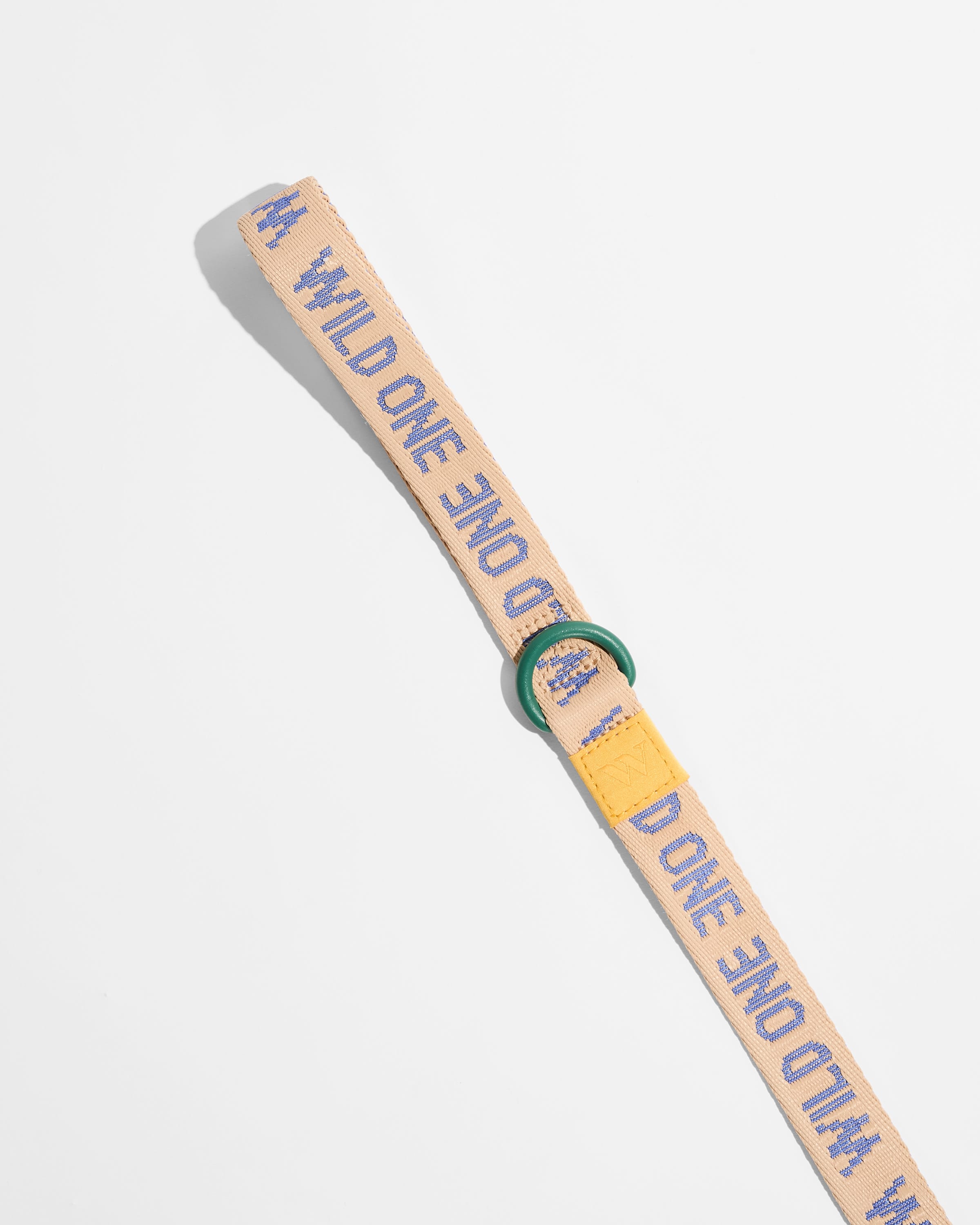 Lightweight Dog Leash - View 4