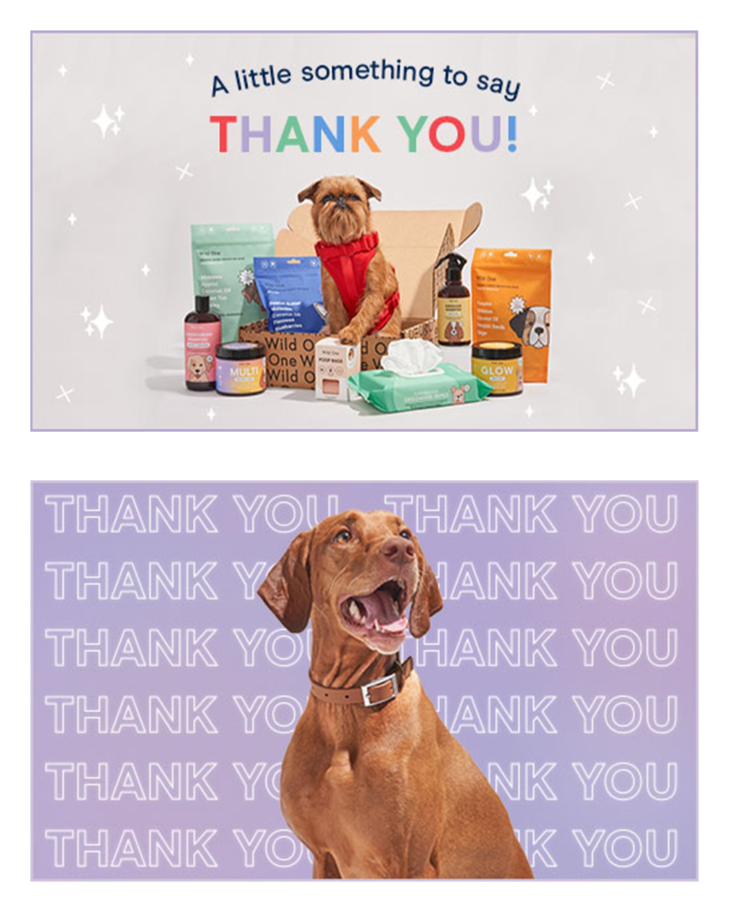 Gift Card - View 5