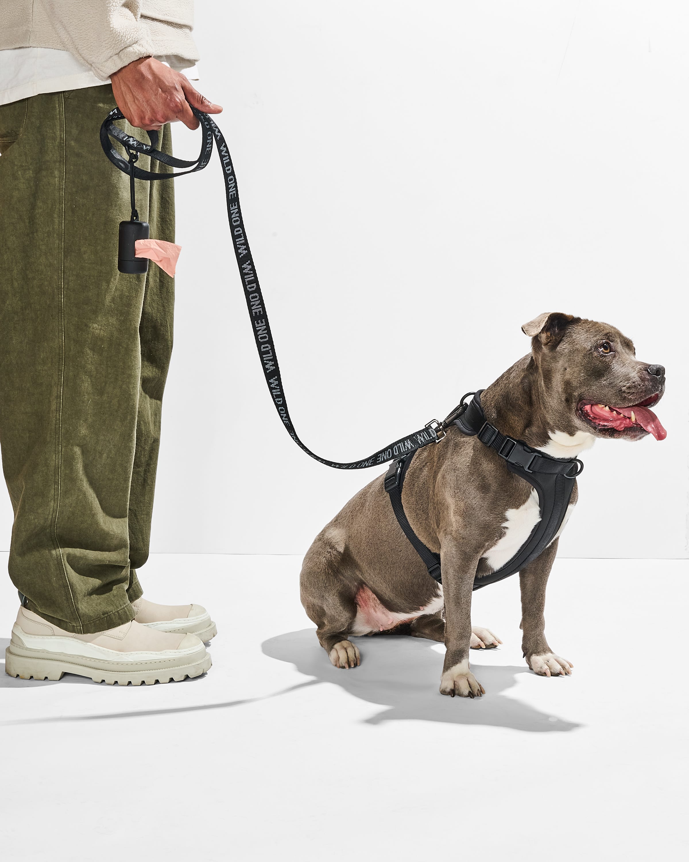 Cushioned Harness + Lightweight Leash Walk Kit - View 3