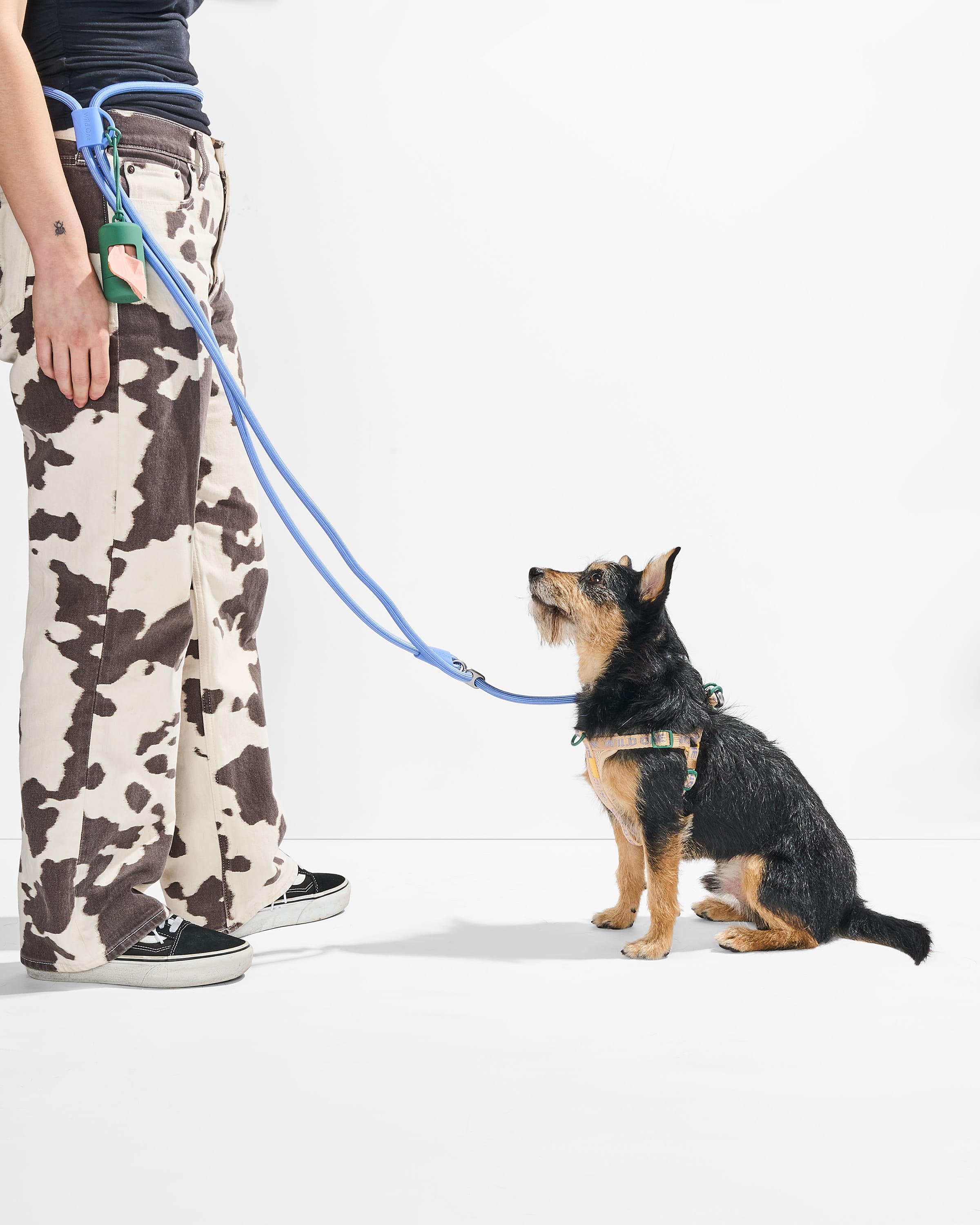 Step-In Harness + Hands-Free Rope Leash Walk Kit - View 5