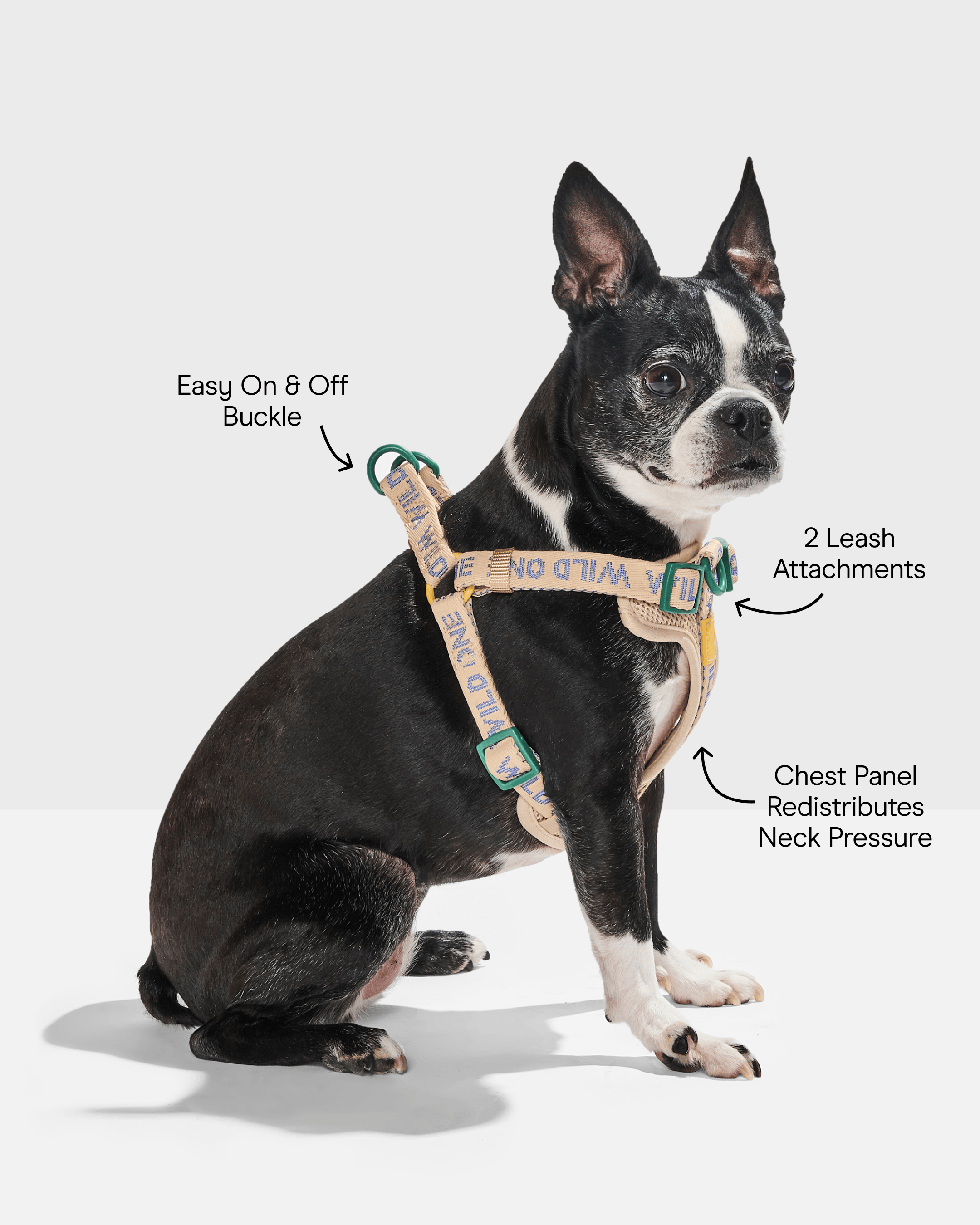 Step-In Dog Harness - View 3