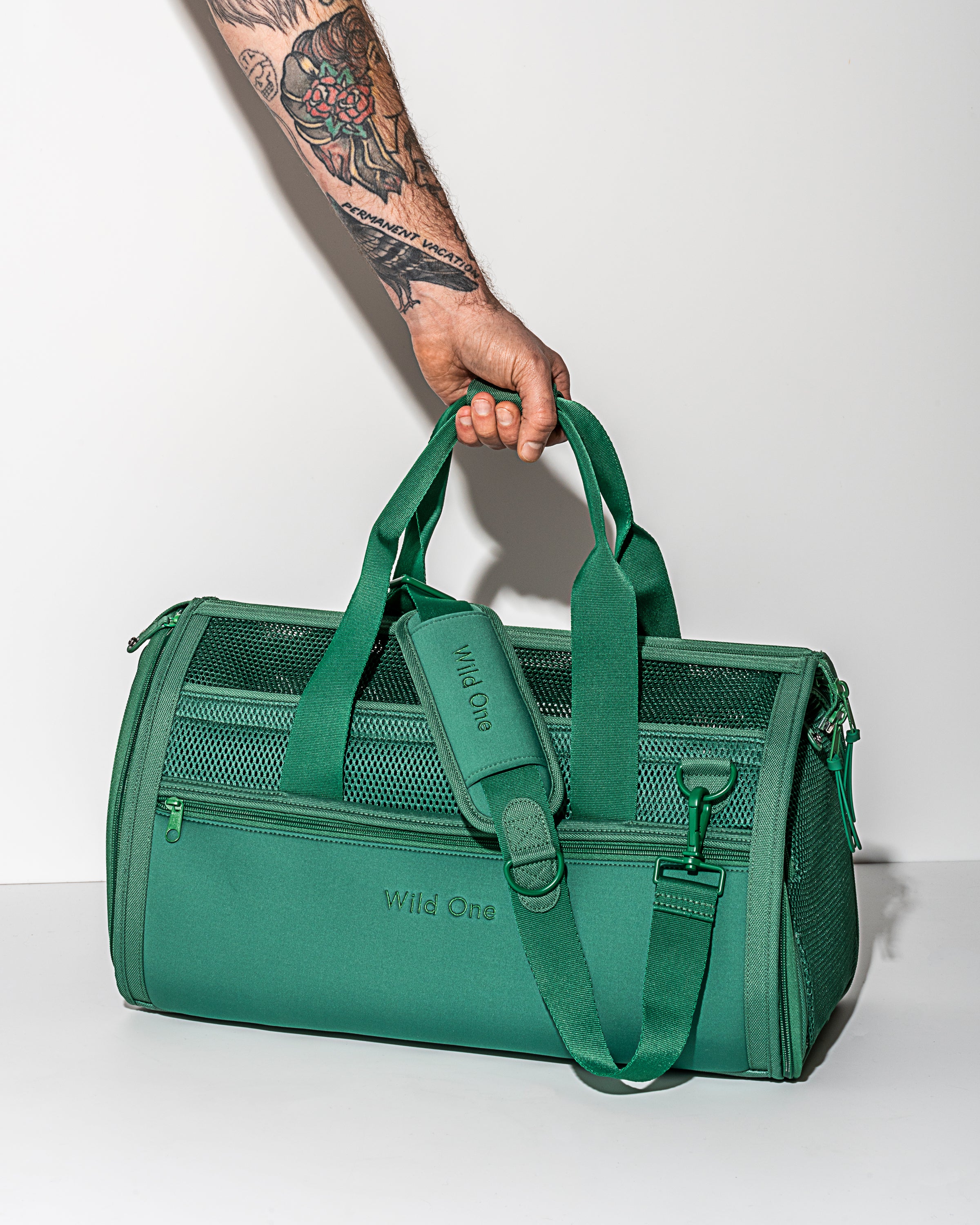 Travel Carrier - View 3