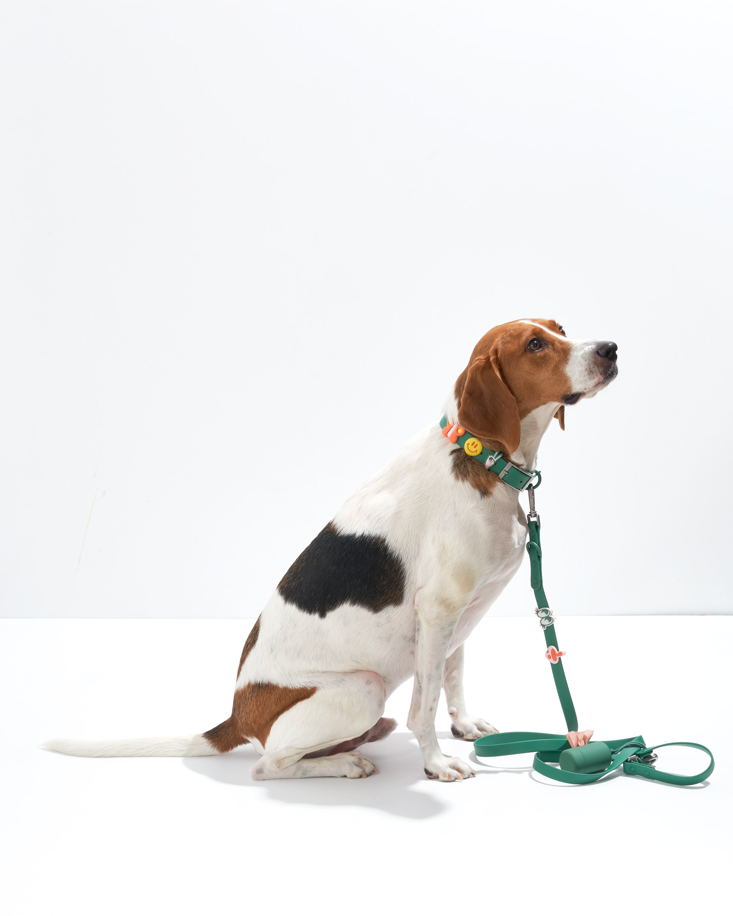Dog Flair Pack - View 6