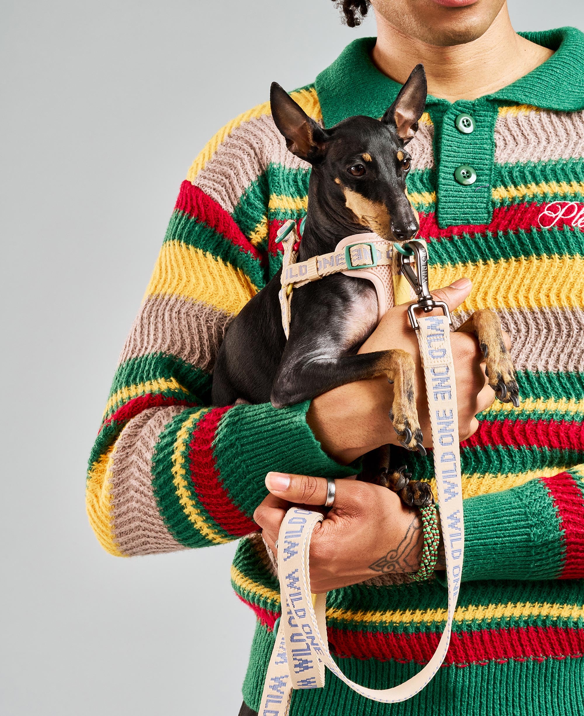 Lightweight Dog Leash - View 6