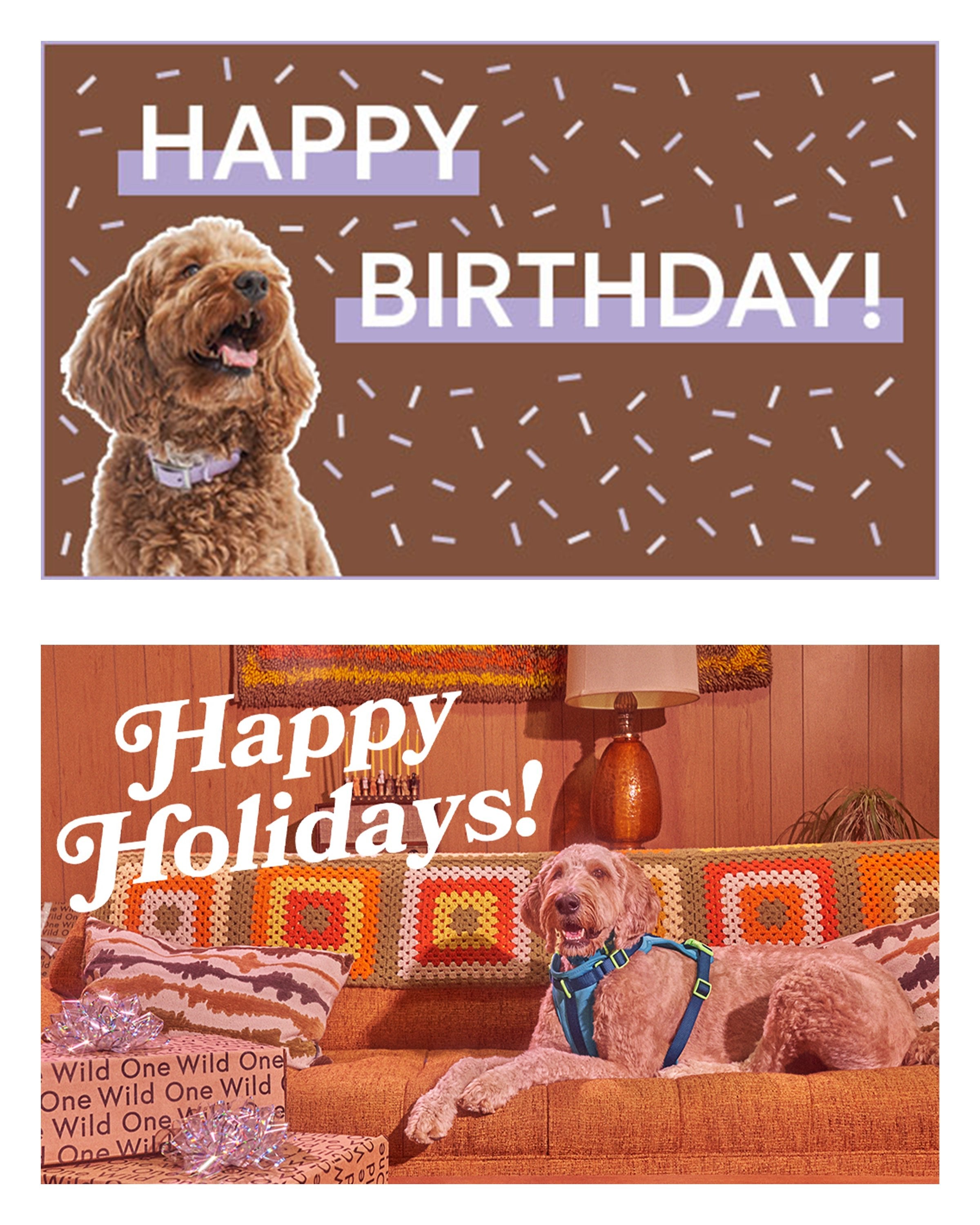 Gift Card - View 3