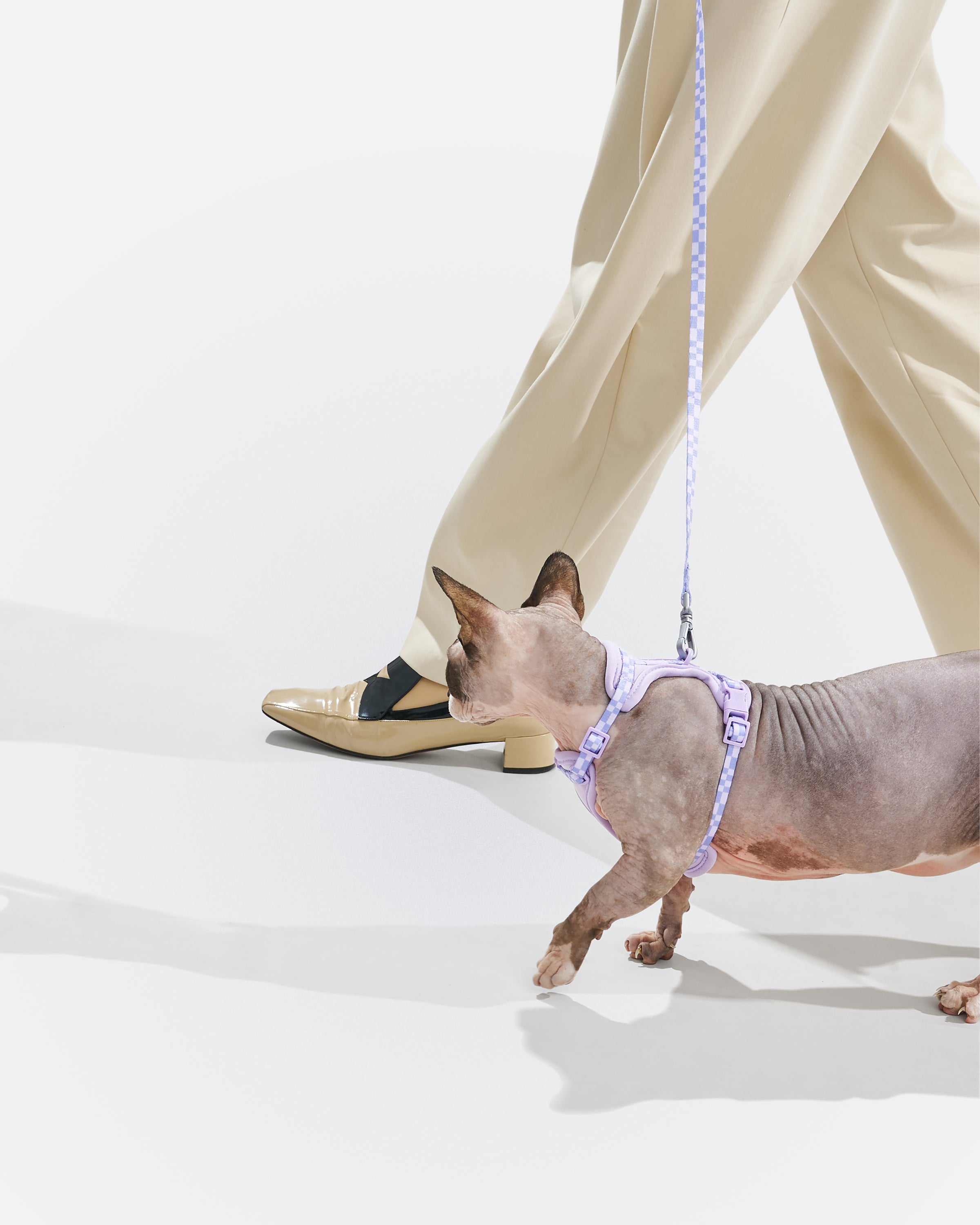 Cat Harness & Leash - View 4