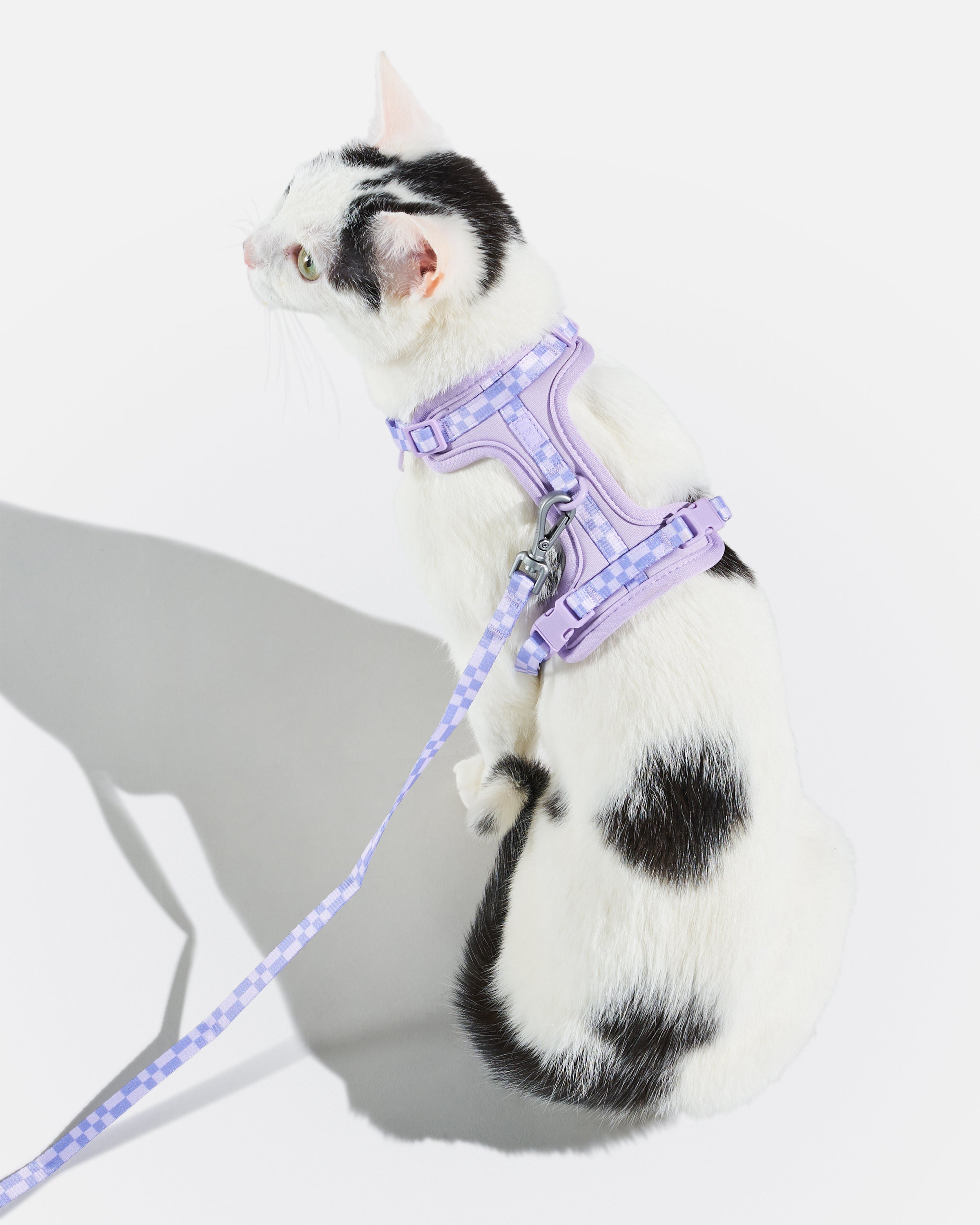 Cat Harness & Leash - View 6