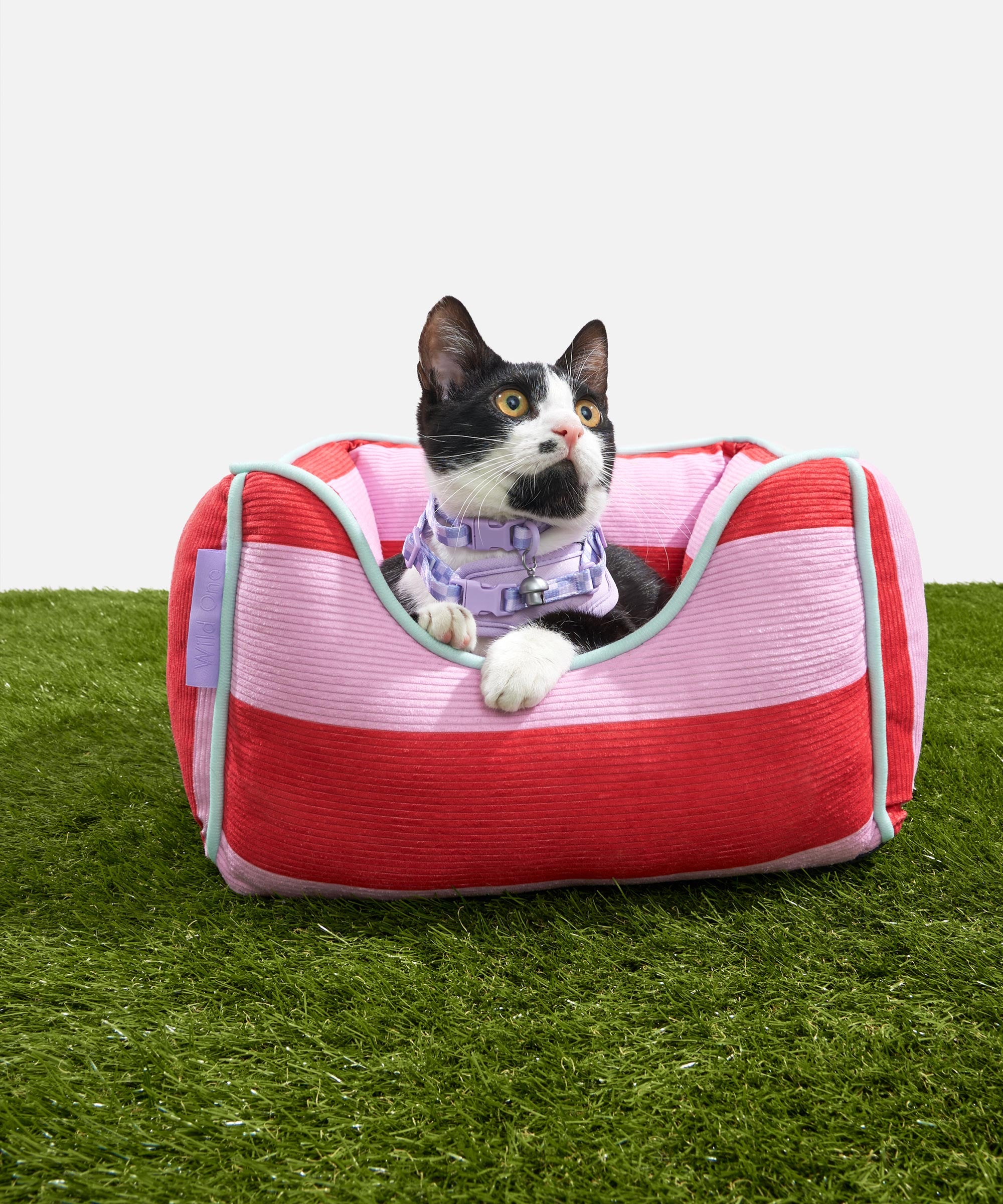 Cat Bolster Bed - View 2
