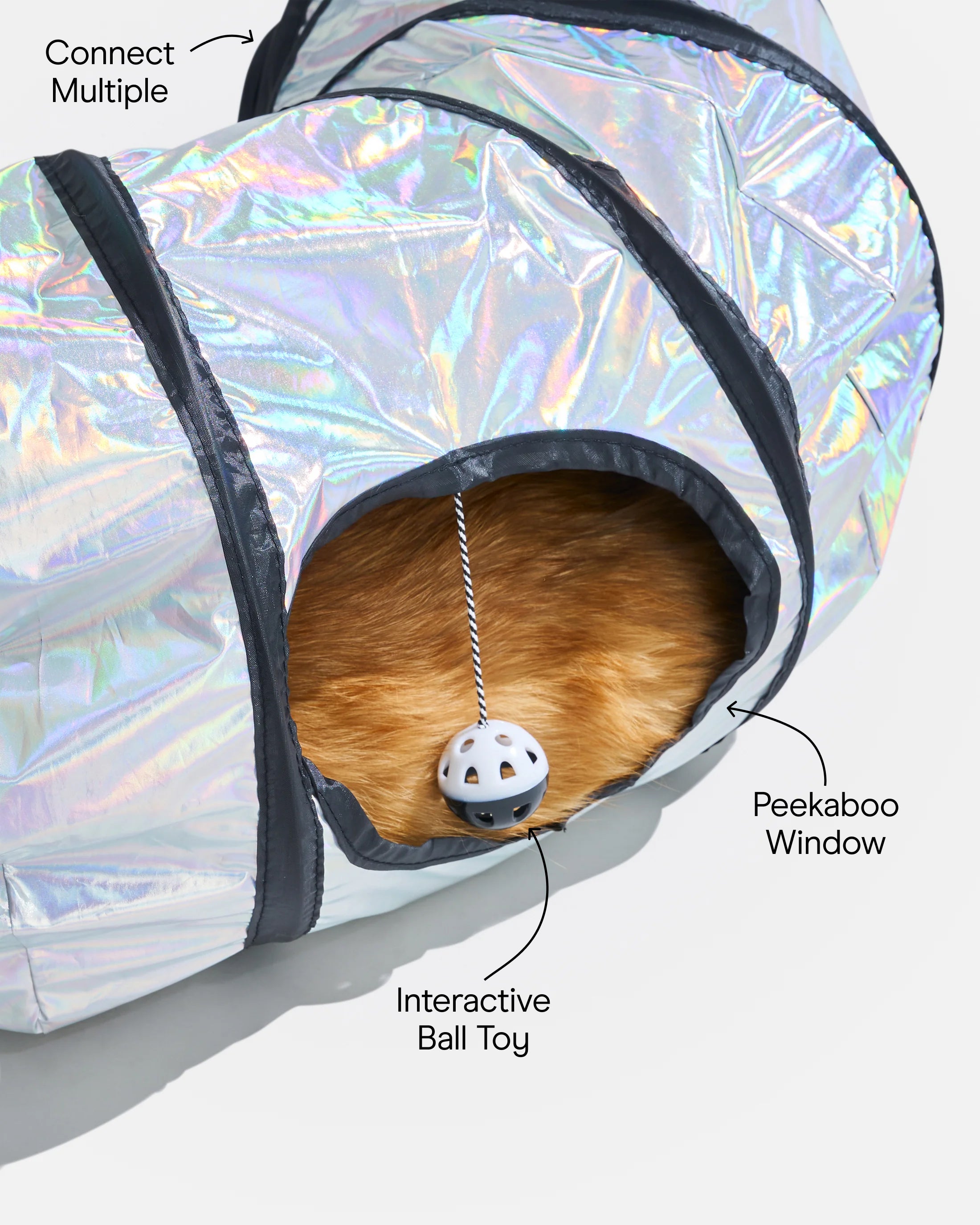 Cat Tunnel - View 4