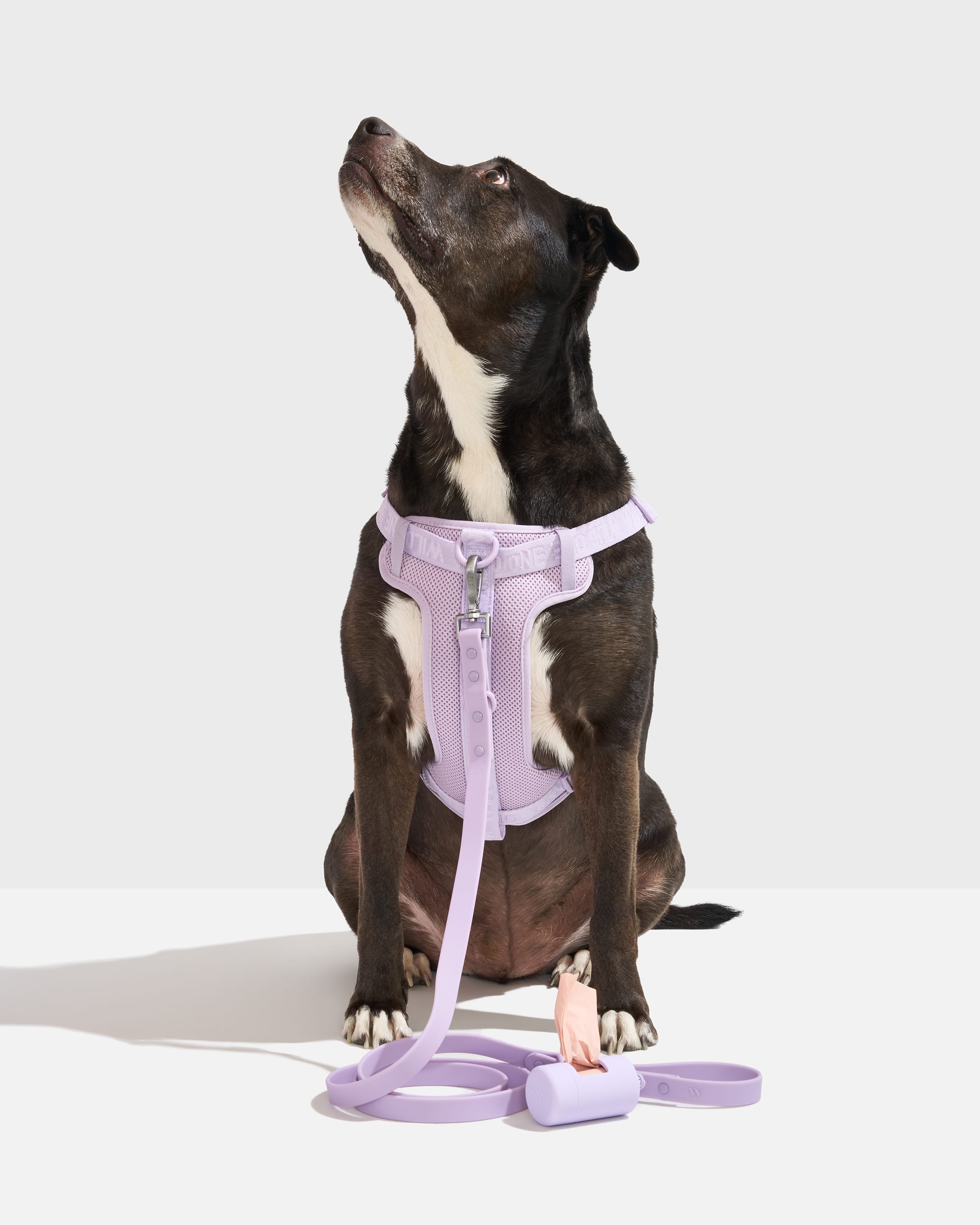 Step-In Harness + Waterproof Leash Walk Kit - View 2