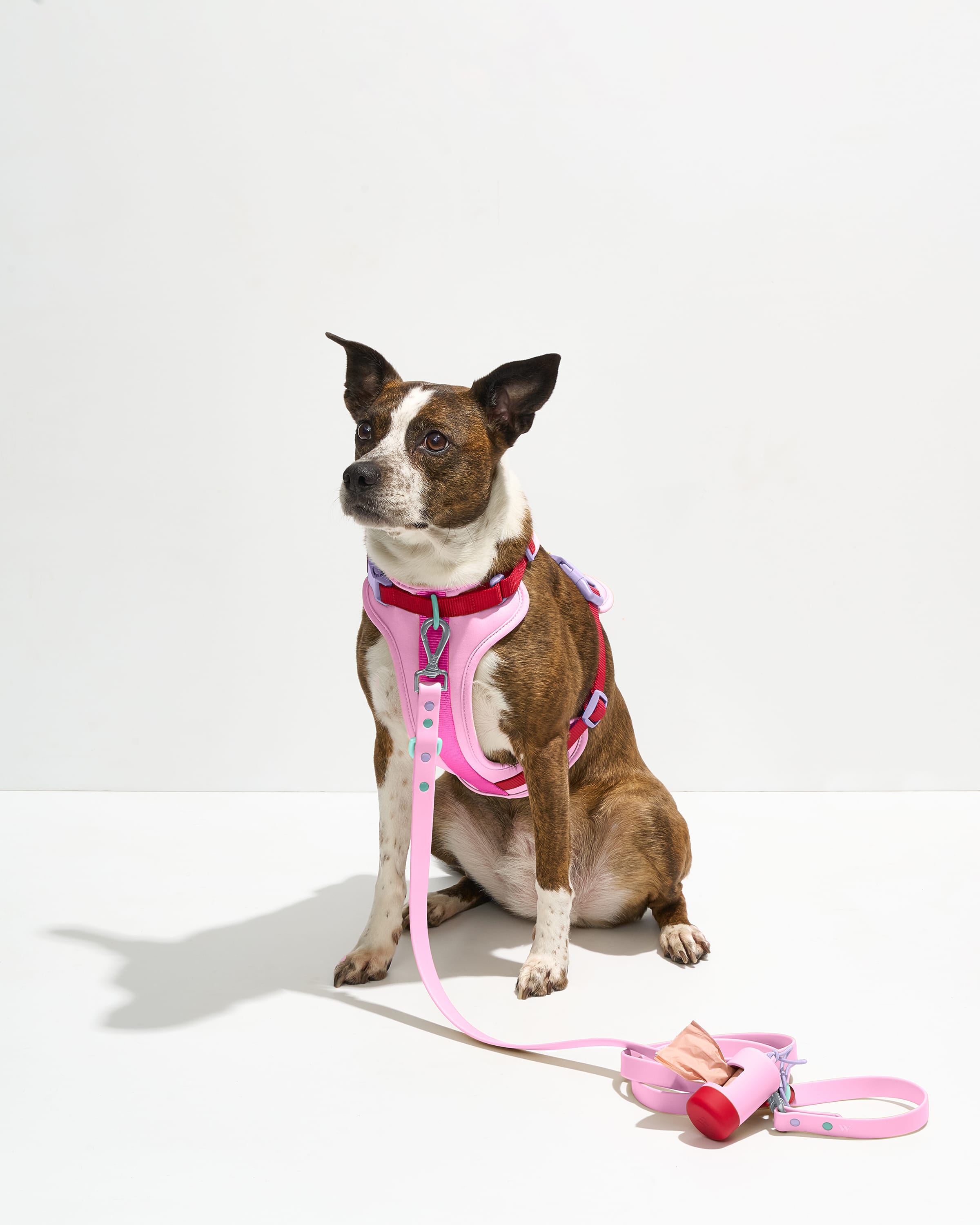 Waterproof Dog Leash - View 2