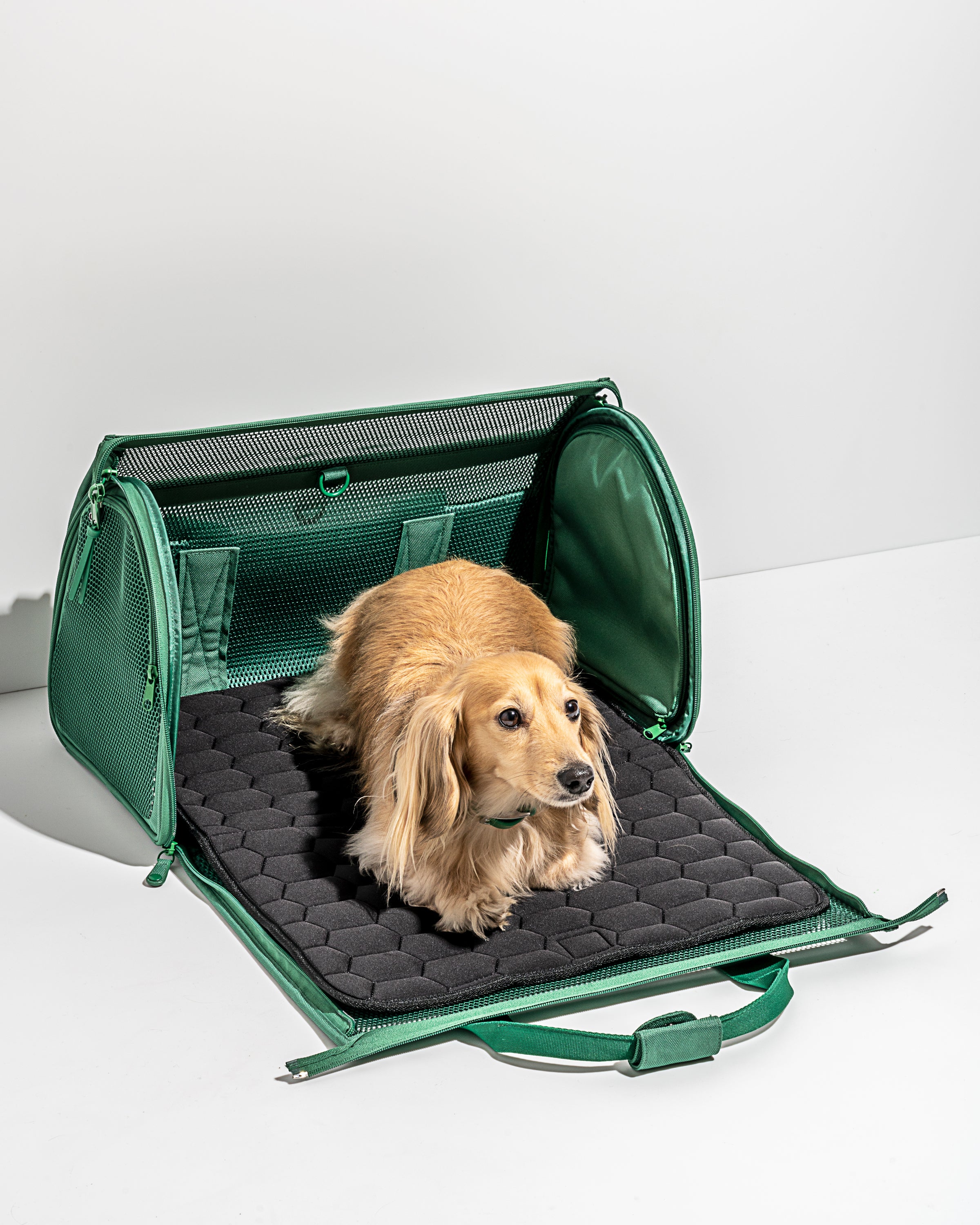 Travel Carrier - View 4