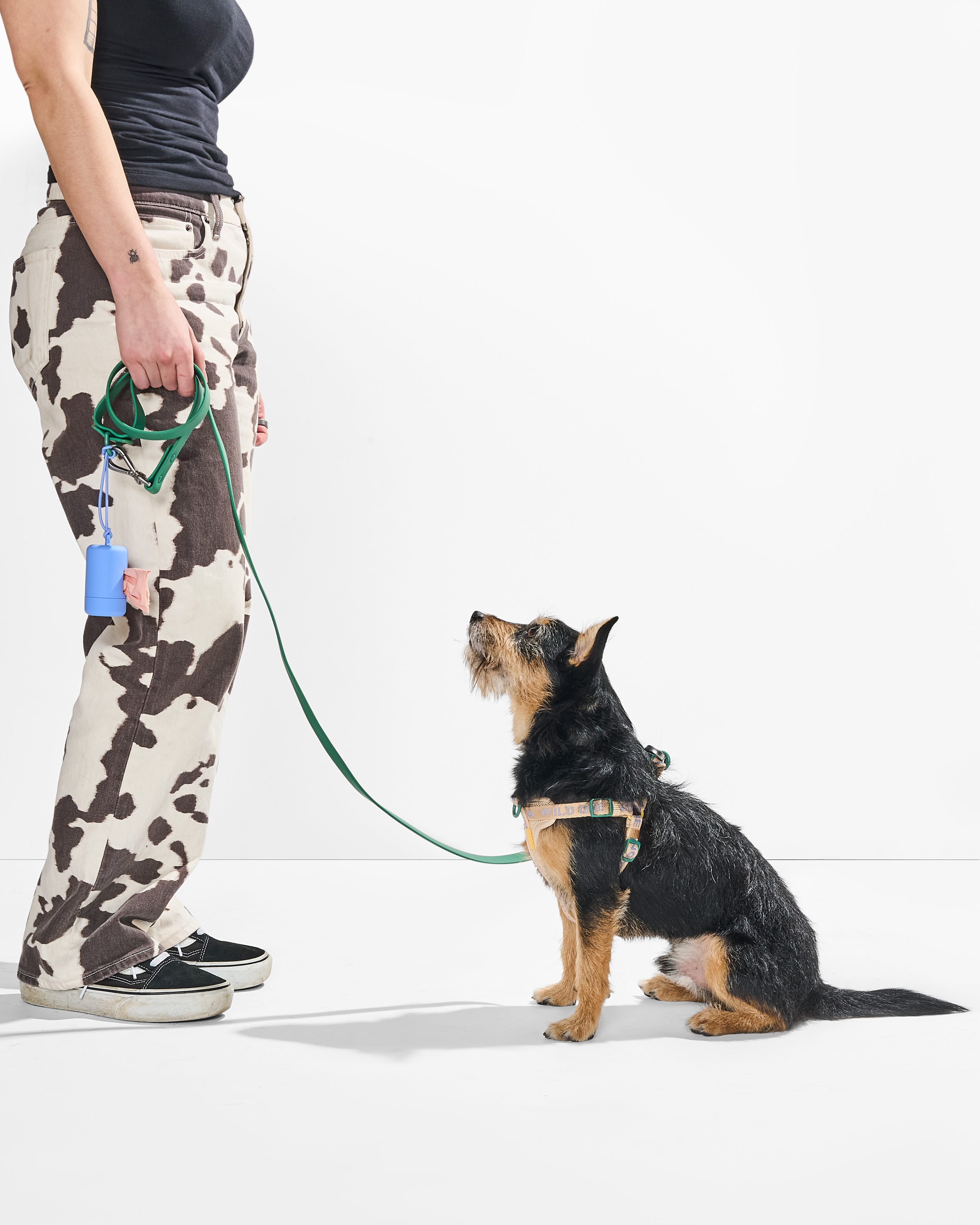 Step-In Harness + Waterproof Leash Walk Kit - View 6