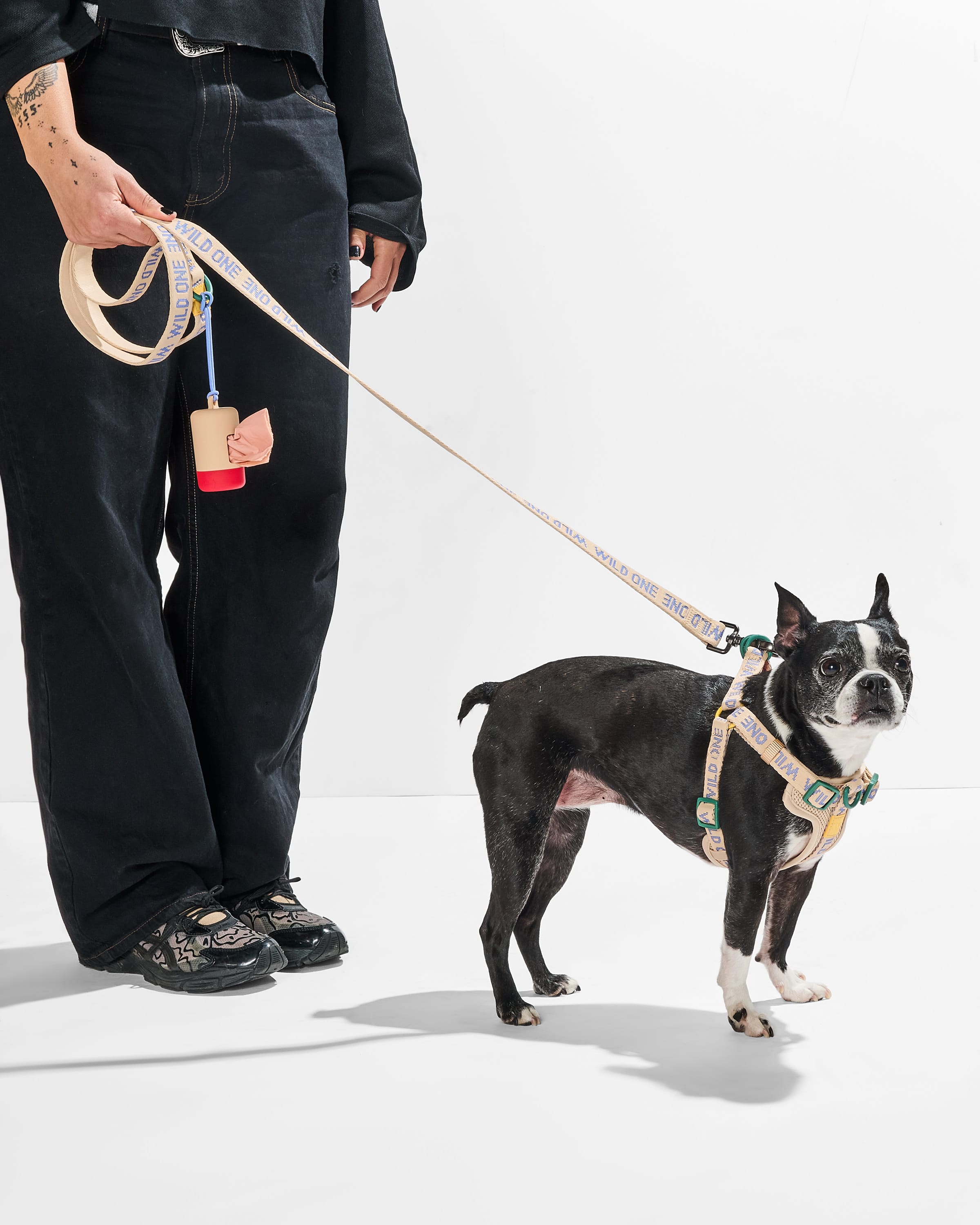 Step-In Harness + Lightweight Leash Walk Kit - View 6