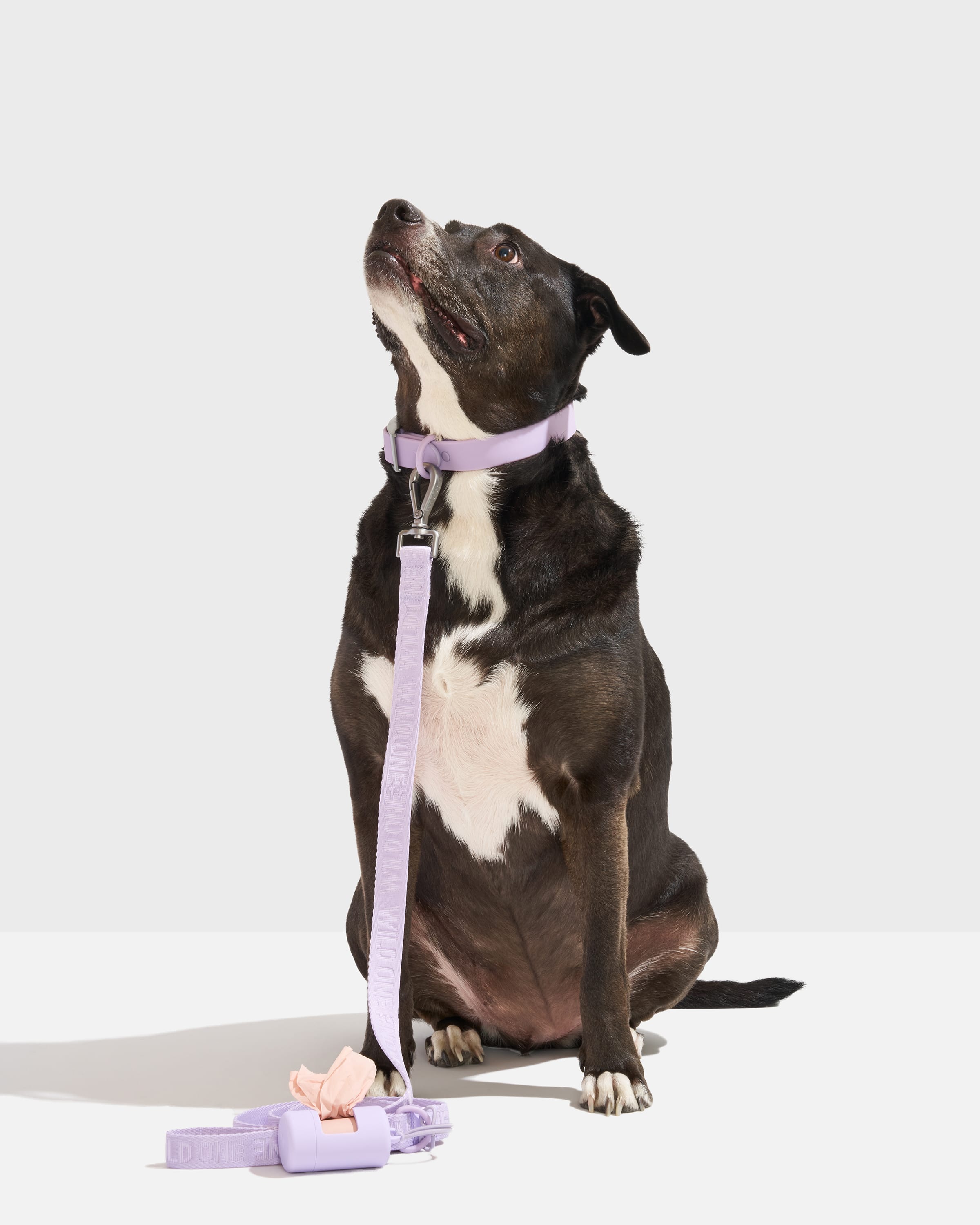 Waterproof Collar + Lightweight Leash Walk Kit - View 2