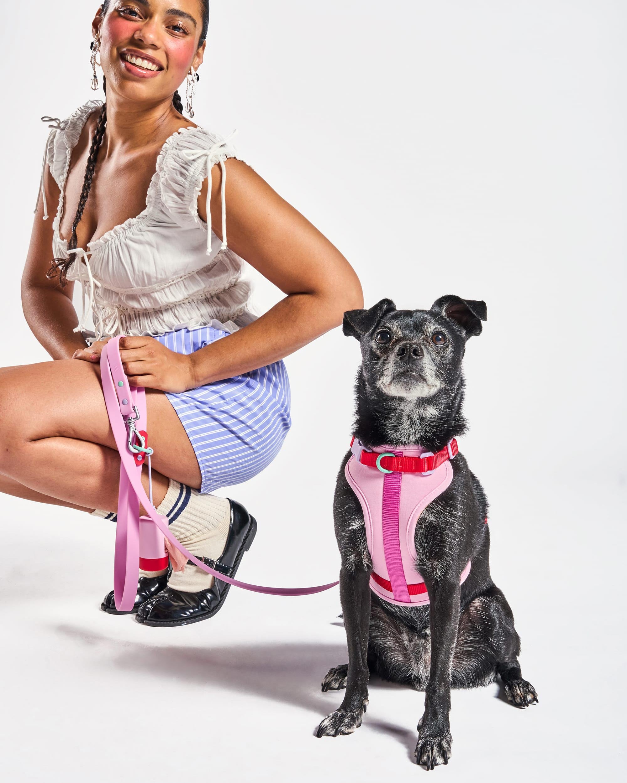Cushioned Dog Harness - View 4