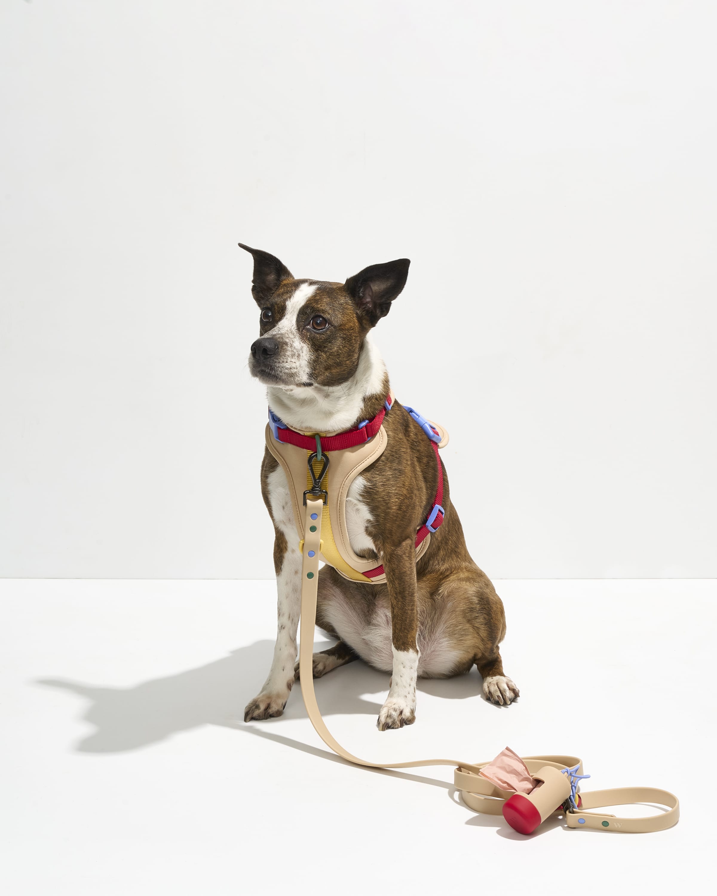 Waterproof Dog Leash - View 4