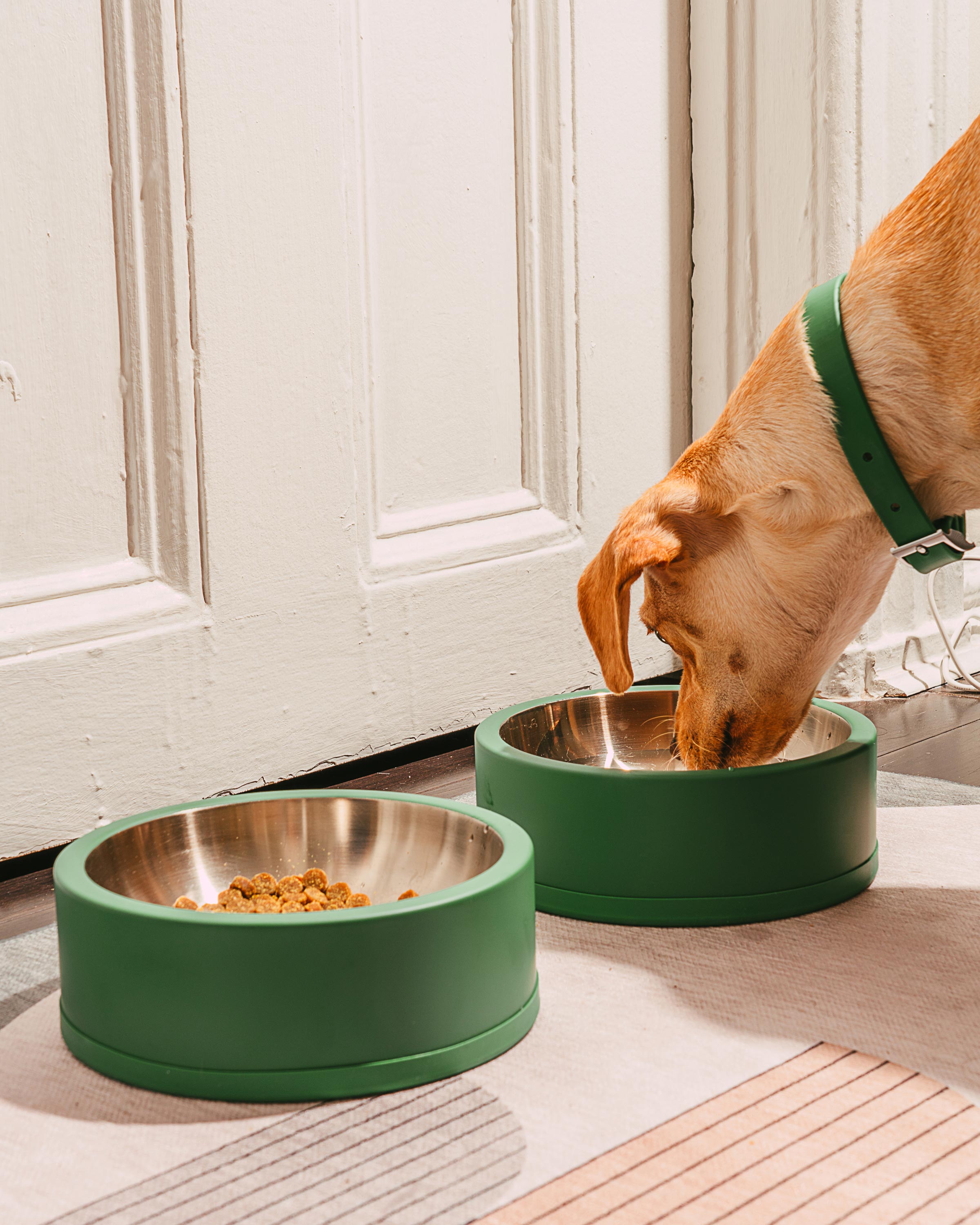 Dog Bowl - View 4