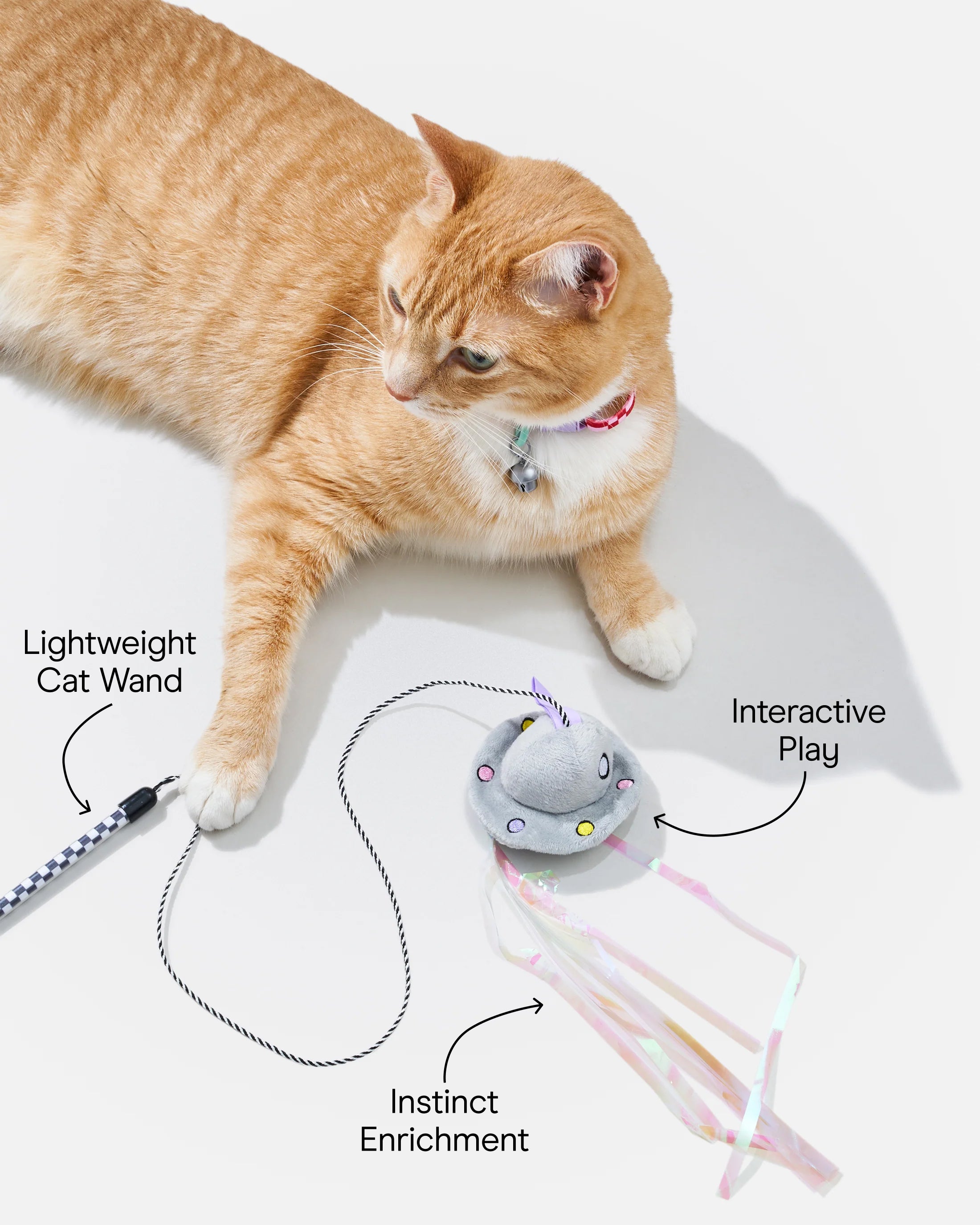 Cat Wild Wand - View 4