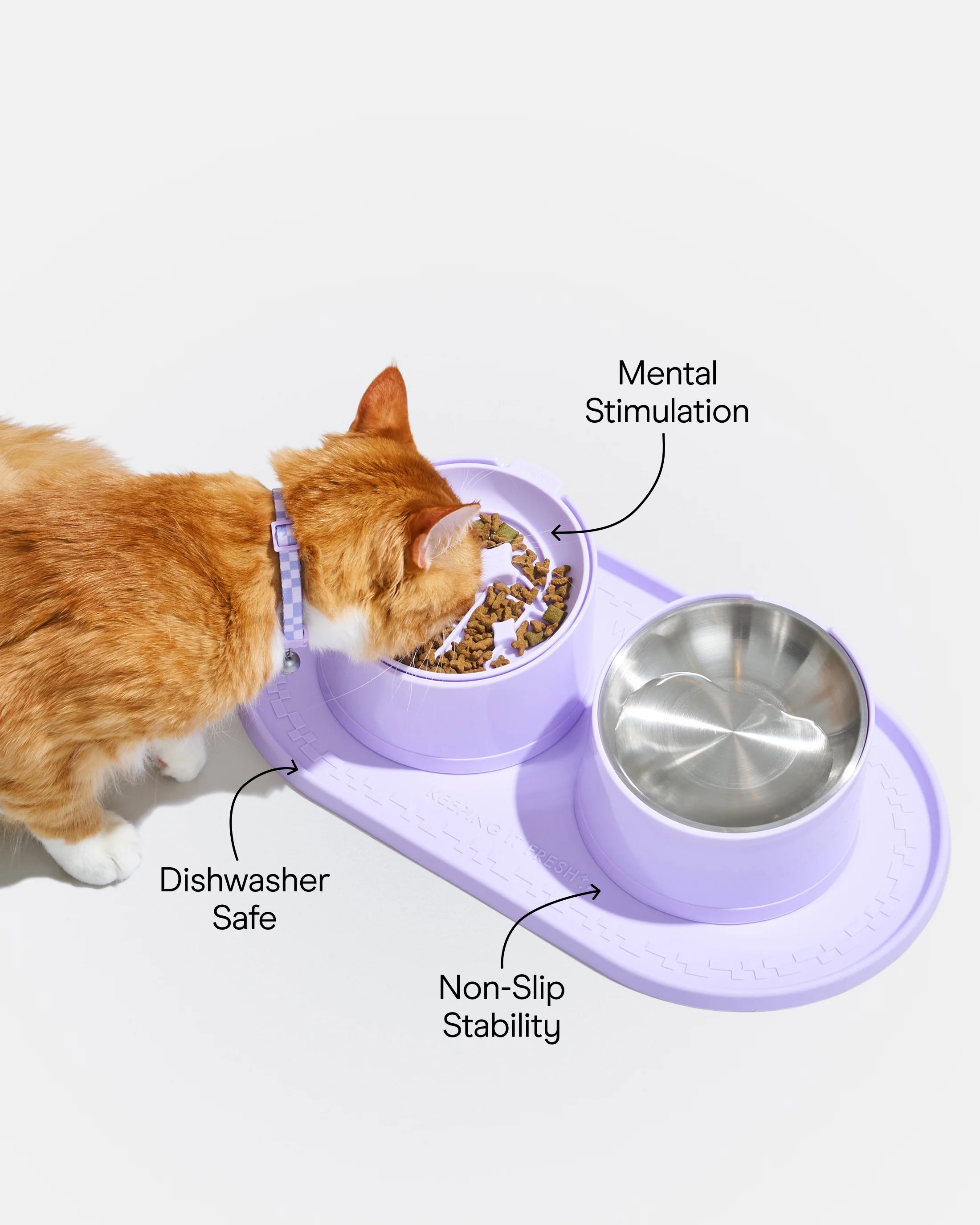 Cat Meal Kit - View 3