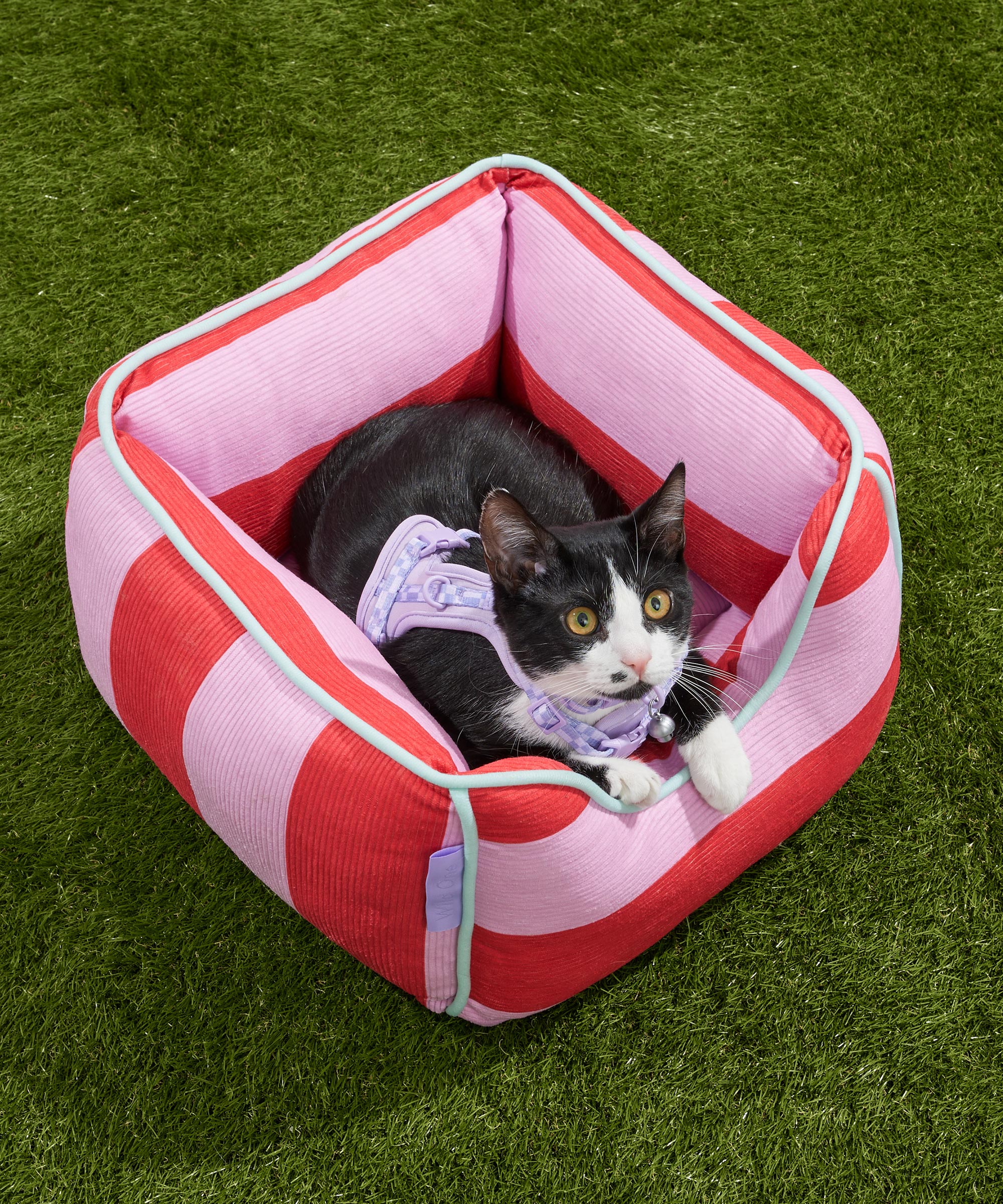 Cat Bolster Bed - View 4