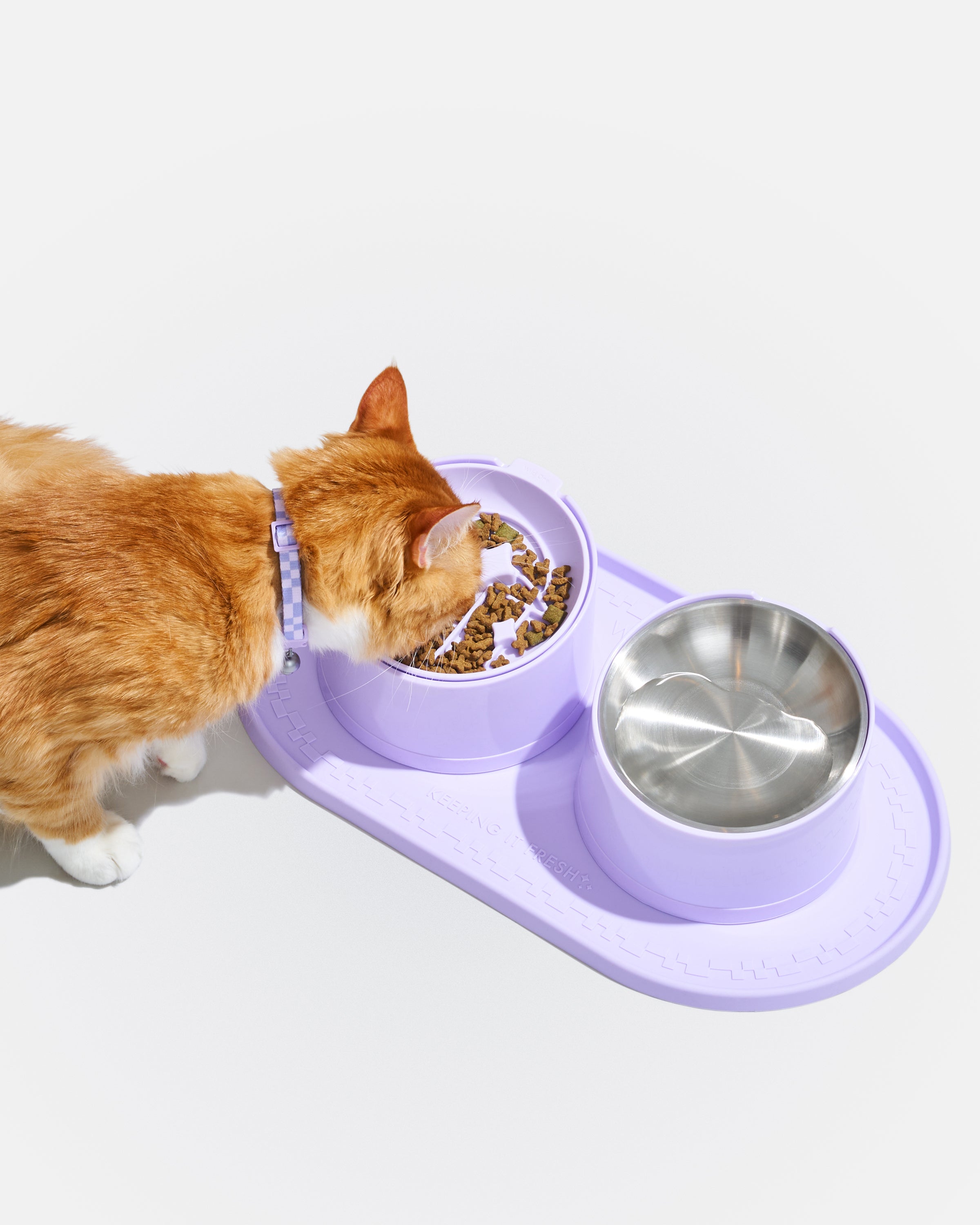 Cat Meal Kit - View 2