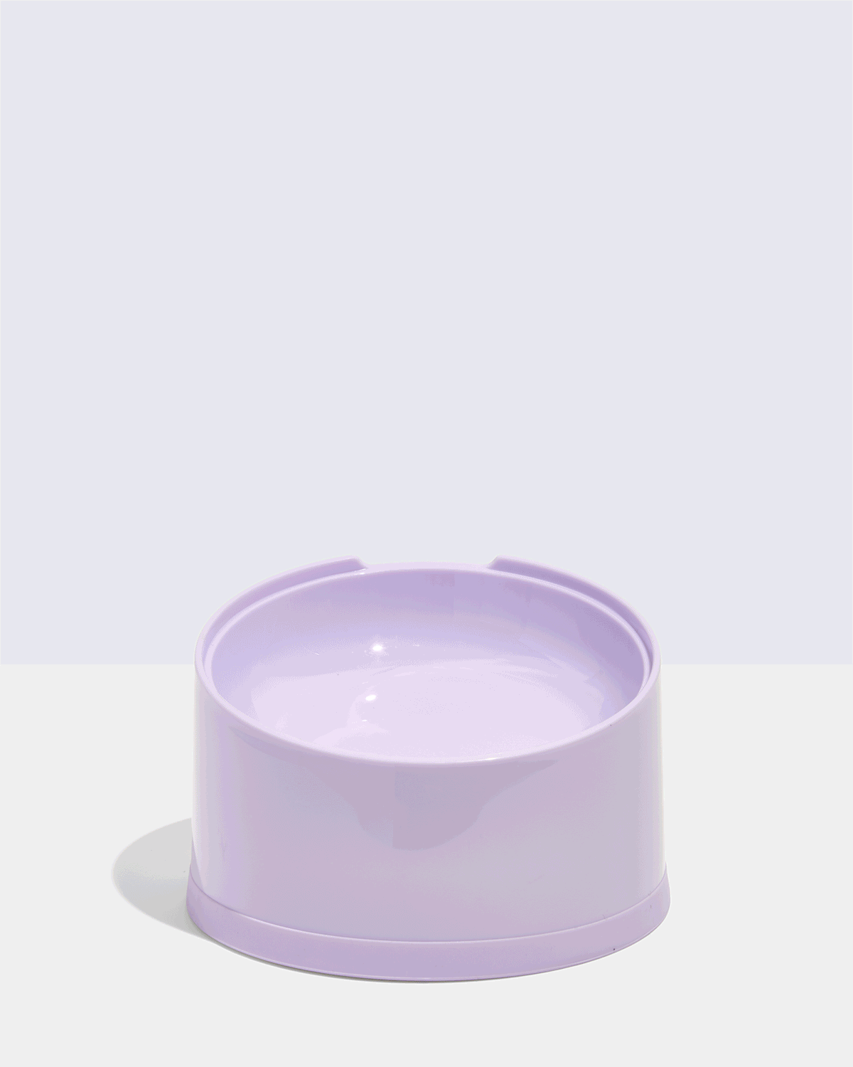 Slanted Cat Bowl - View 2