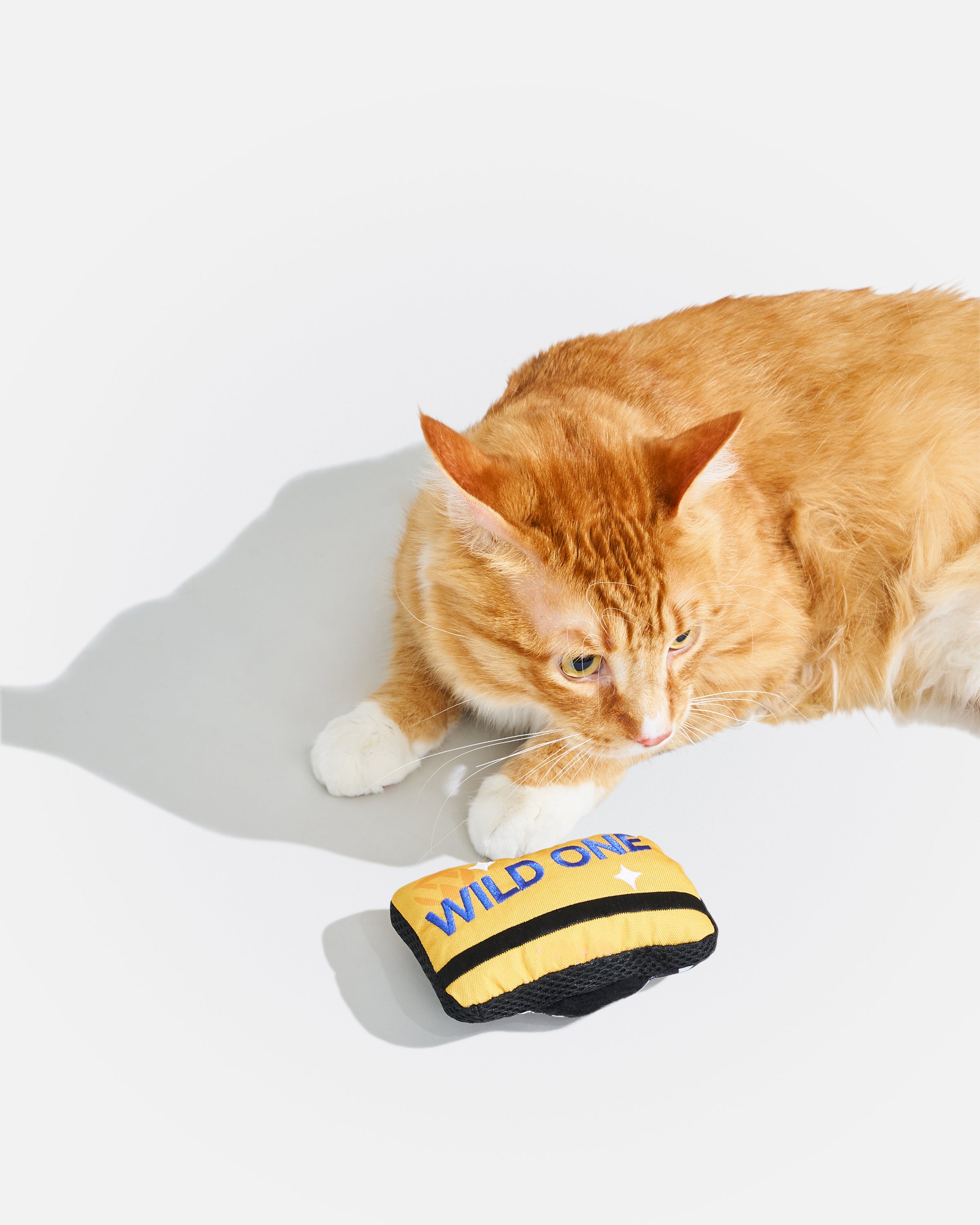 Playful Plush Cat Toy - View 5